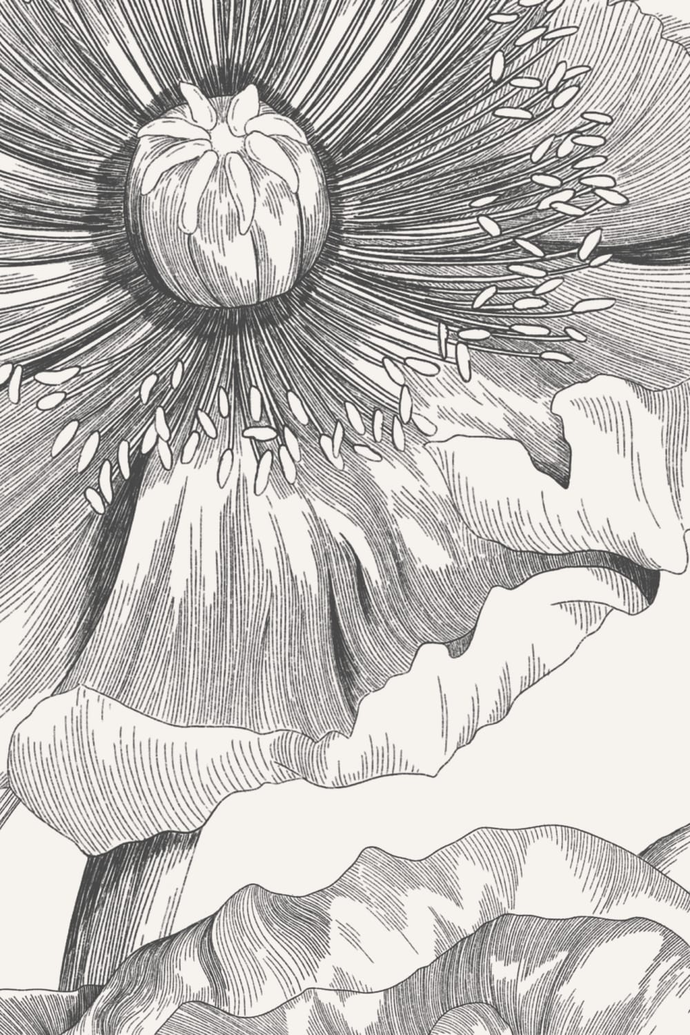 Monochrome Illustrated Floral Bouquet Mural