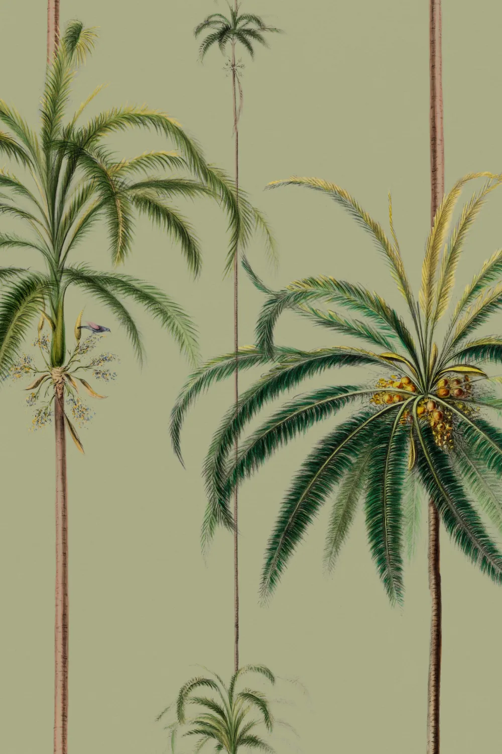 Sage Striped Tropical Palms Wallpaper