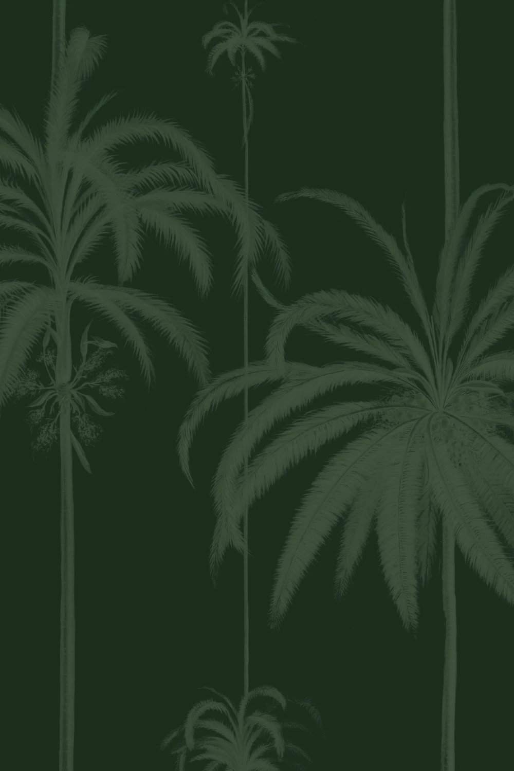 Green Striped Tropical Palms Wallpaper