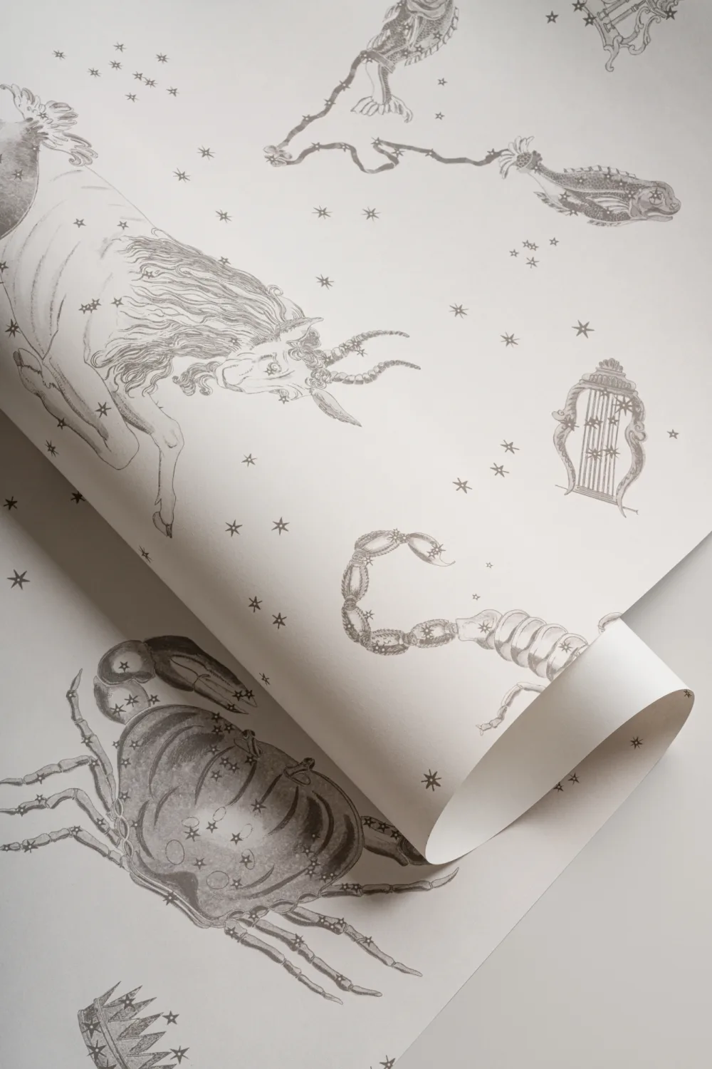 Gray Illustrated Astrological Star Signs Mural