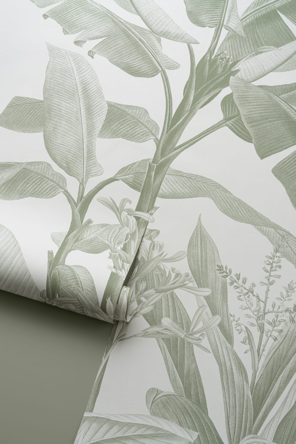 Sage Green Vintage Tropical Mural