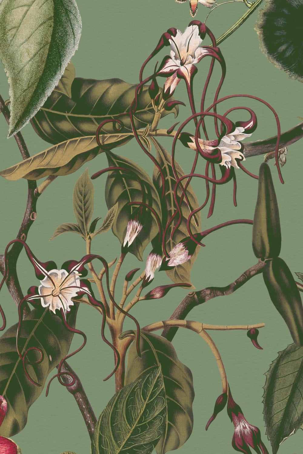 Murale florale botanice luxuriante în verde Verdant