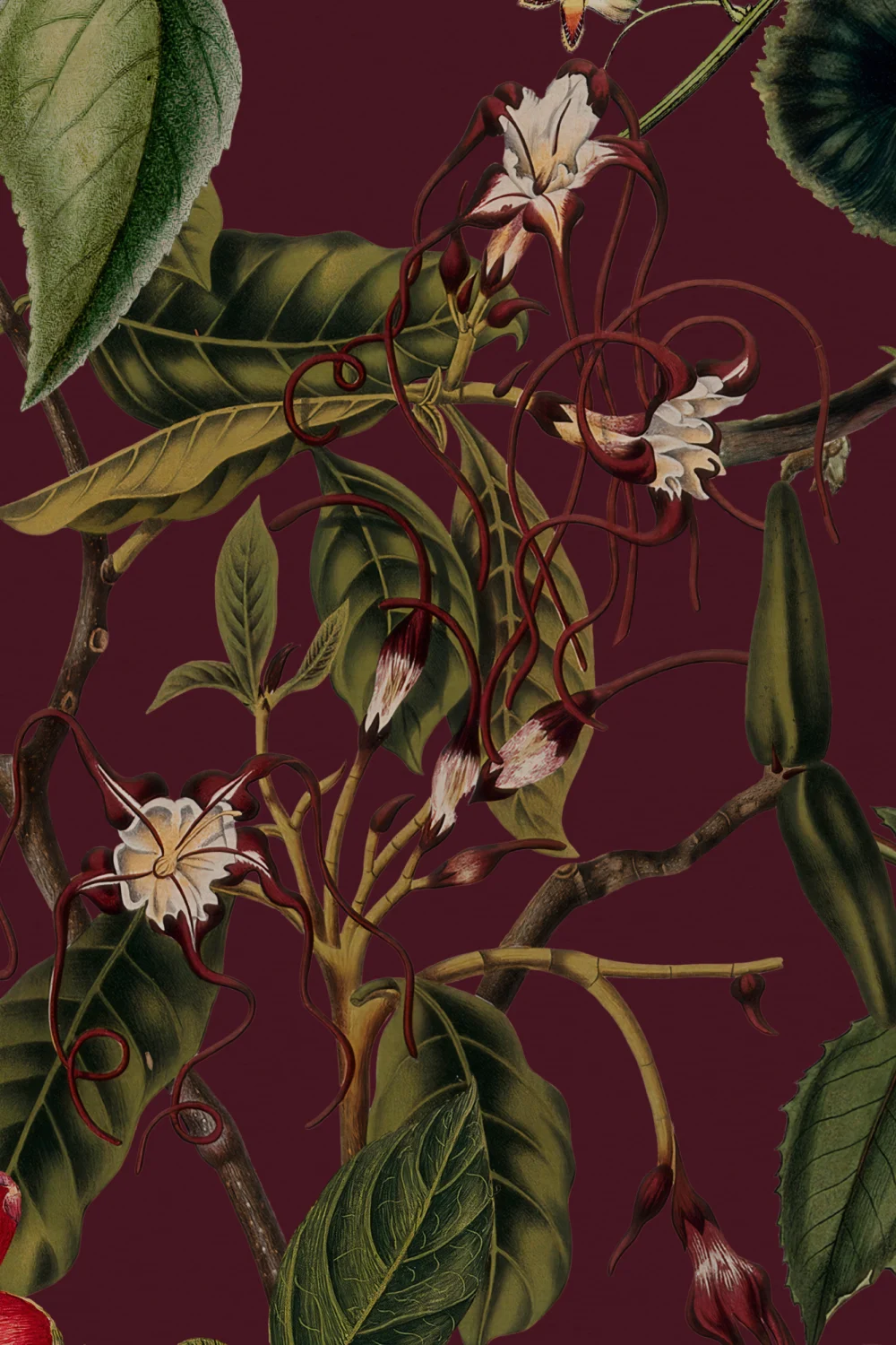 Rich Botanical Floral Wall Mural in Deep Berry Red