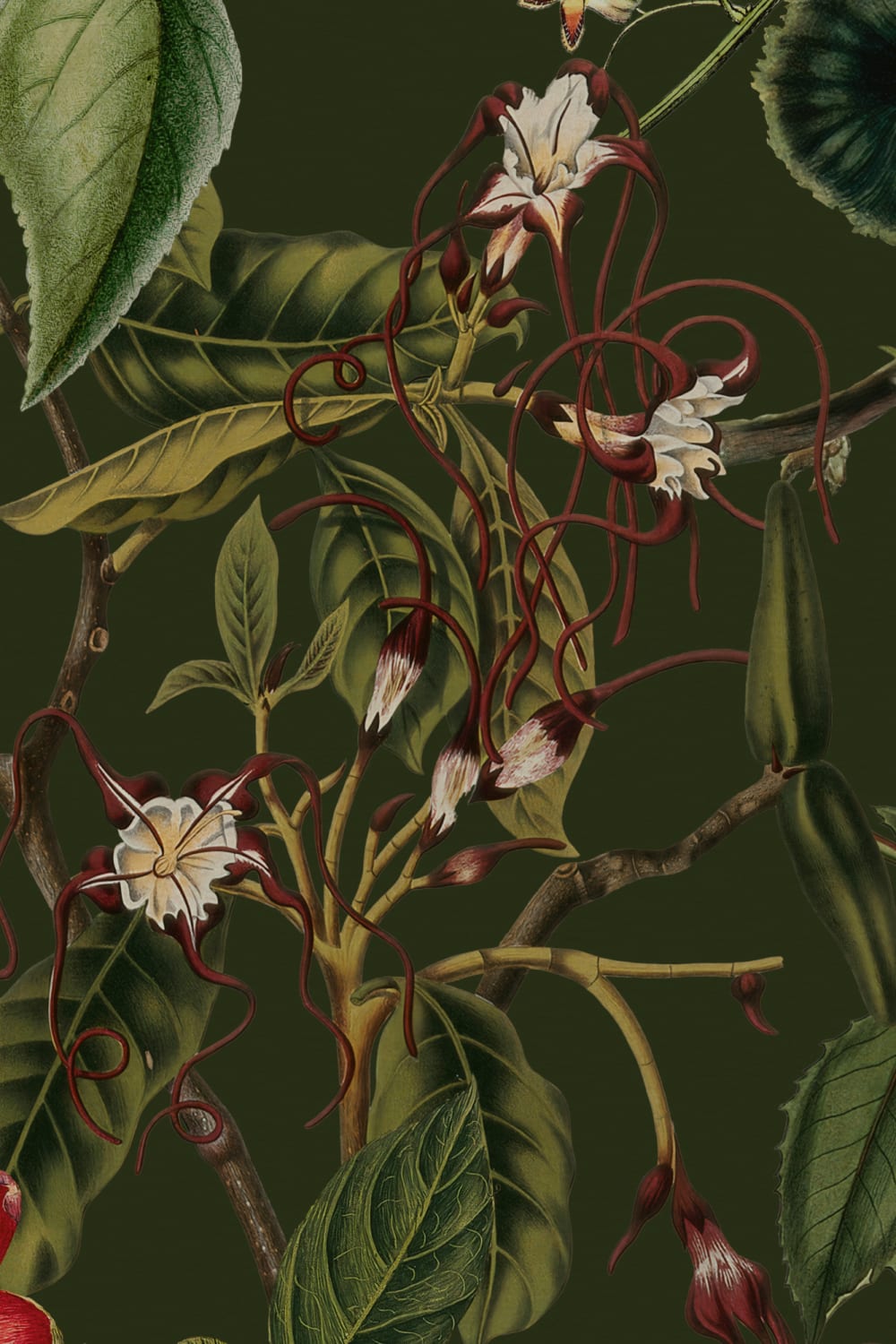 Dramatic Botanical Floral Wall Mural in Forest Green