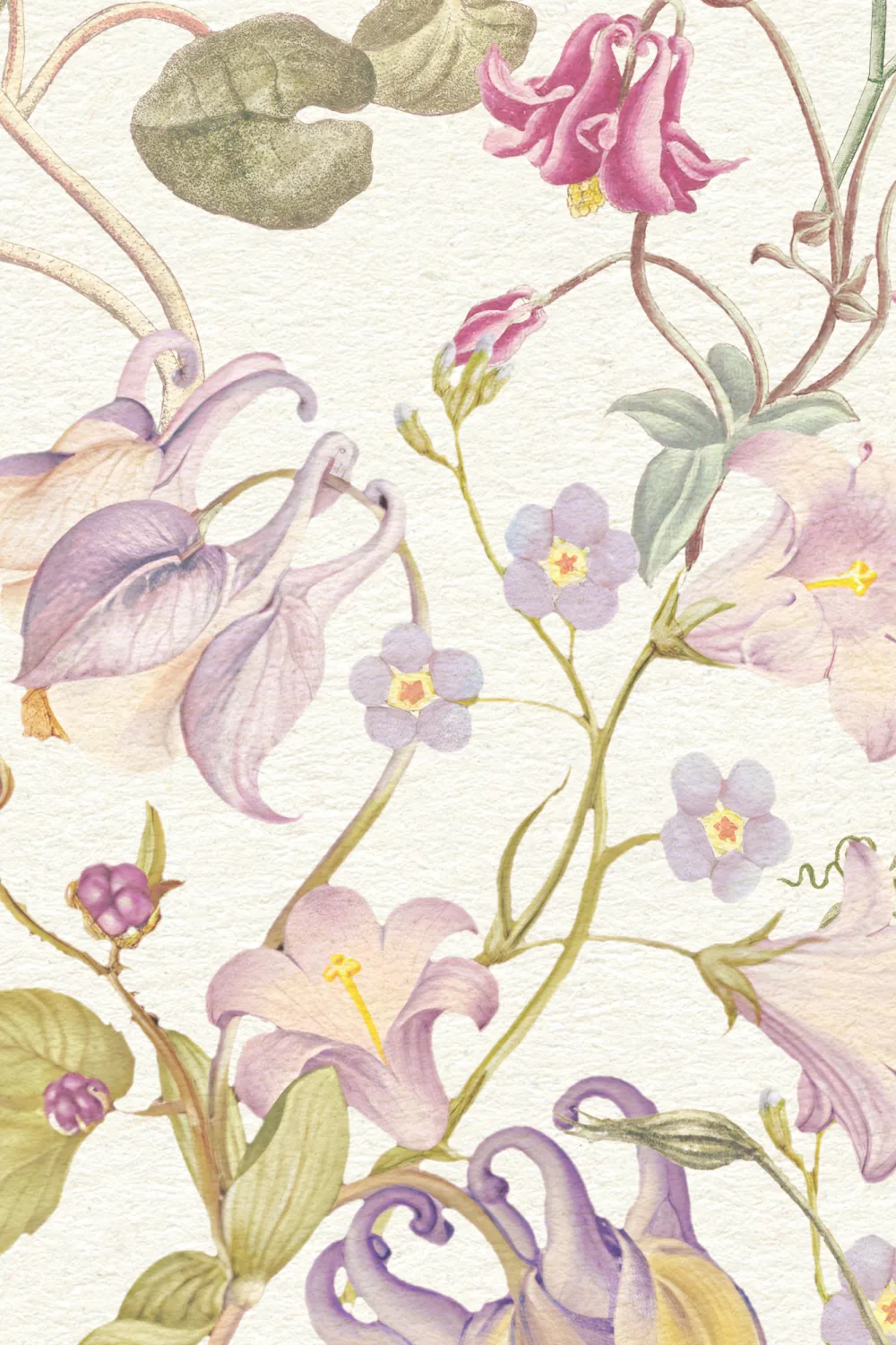 Evelina Pink Floral Wallpaper with Hand Drawn Vintage Botanical Pattern