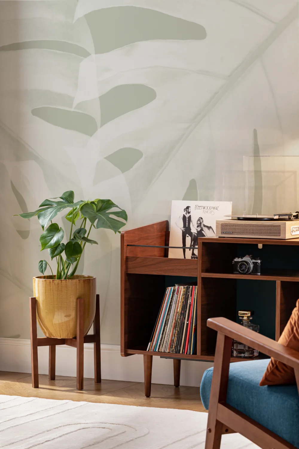 Fototapete mit Salbeigrünem Monstera-Blatt
