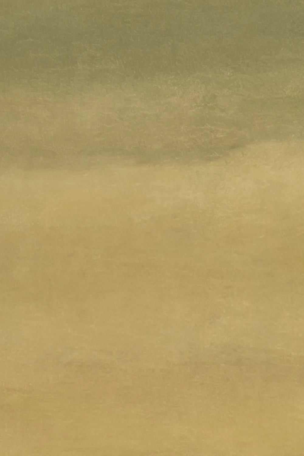 Weiches Grün Minimalistische Natur Farbverlauf Fototapete