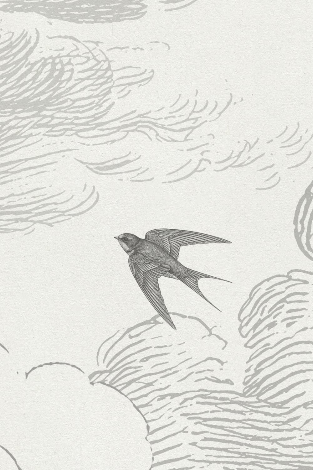 Black Nature Vintage Bird Cloud Mural