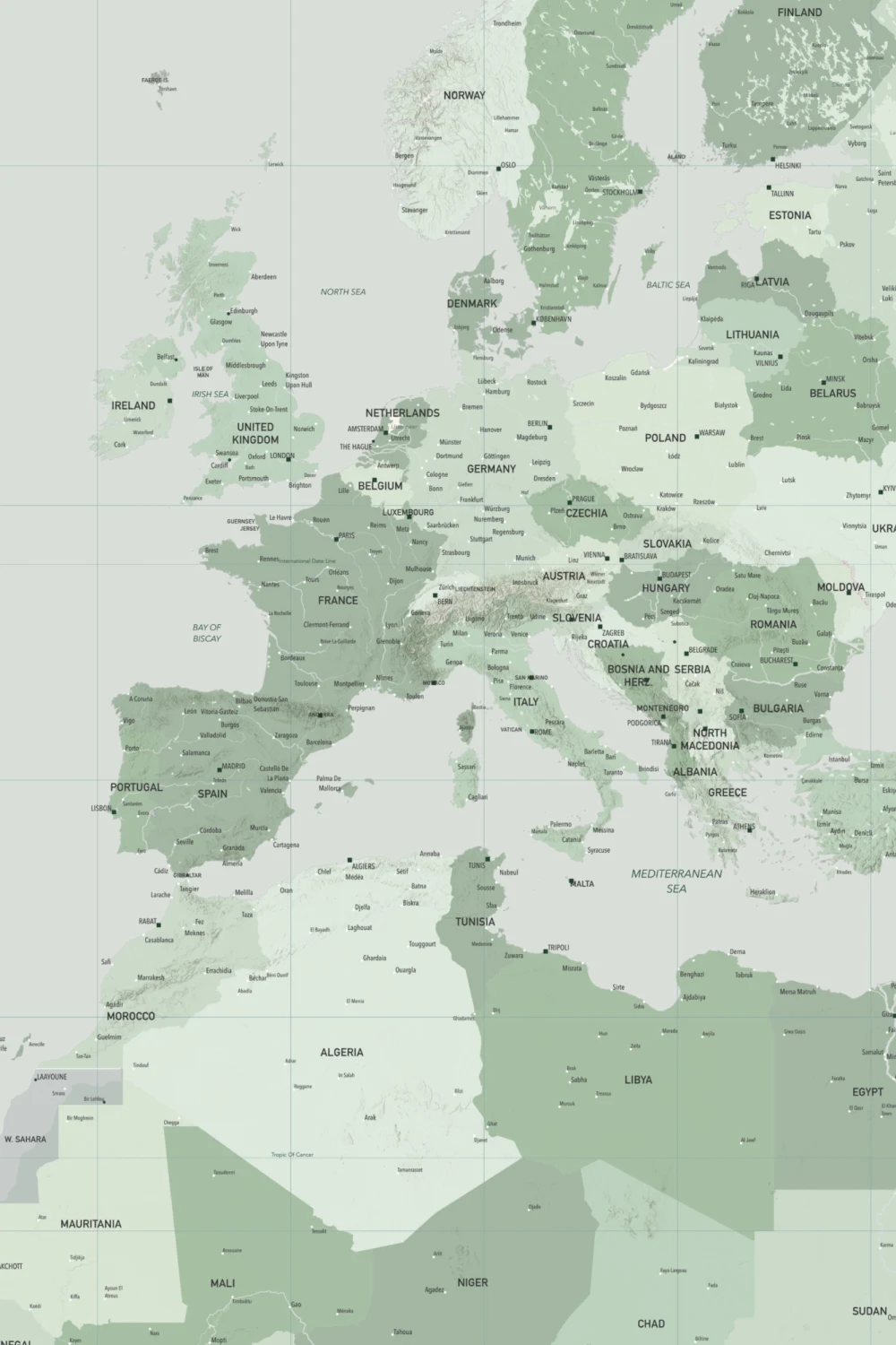 Green World Map Wall Mural For Global Ambience