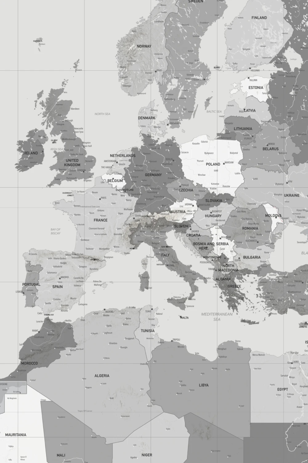 Grey Sophisticated World Map Educational Wall Mural