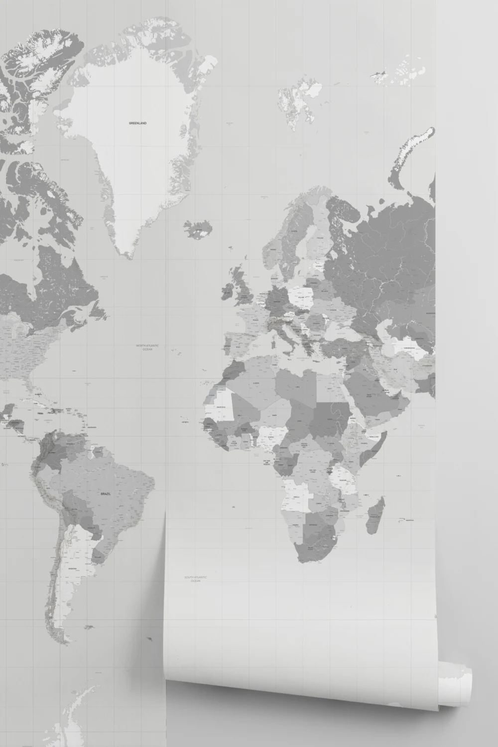 Grey Sophisticated World Map Educational Wall Mural