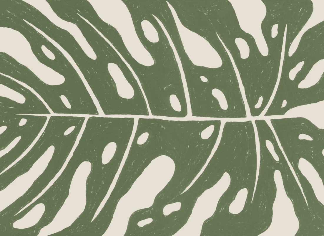 Green Giant Monstera Leaf Wallpaper Mural - Hovia