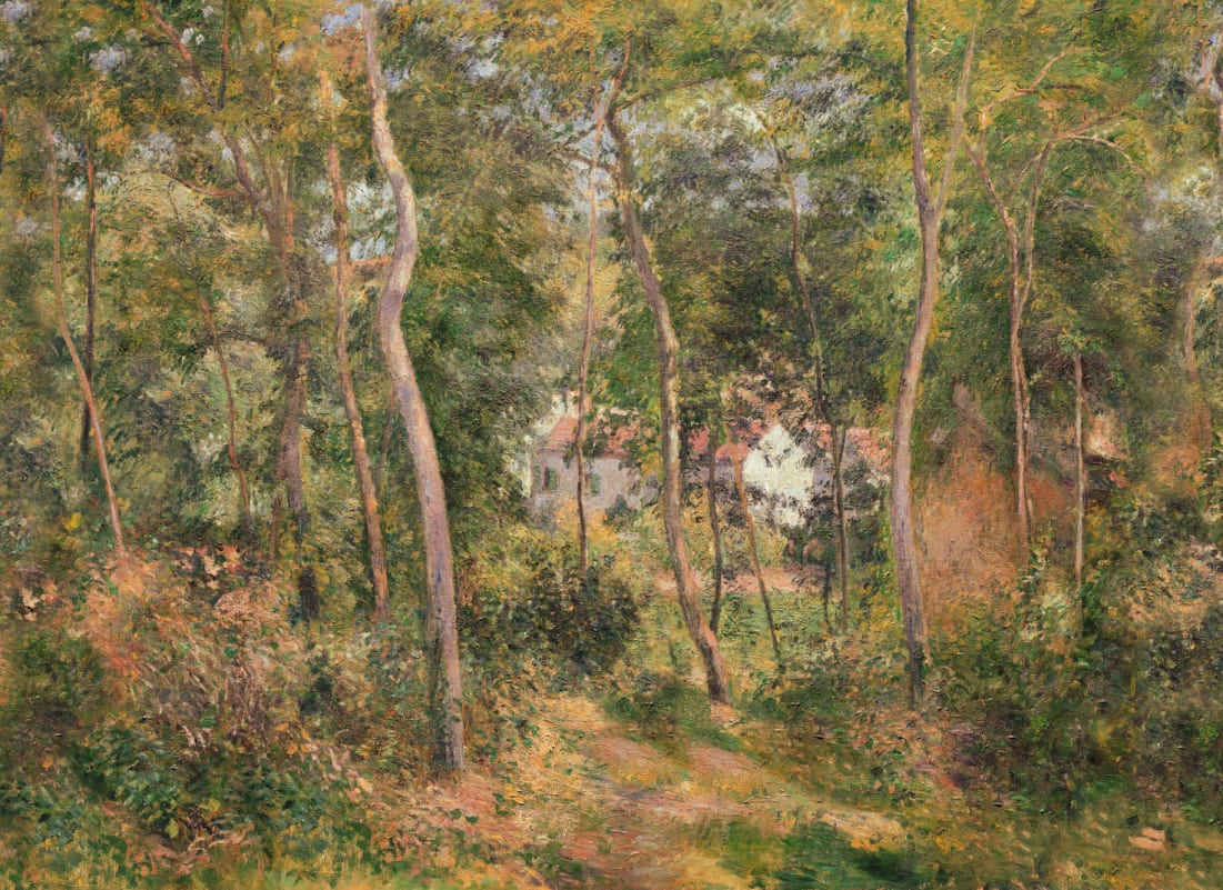 Classic Woodland Oil Painting Mural - Hovia