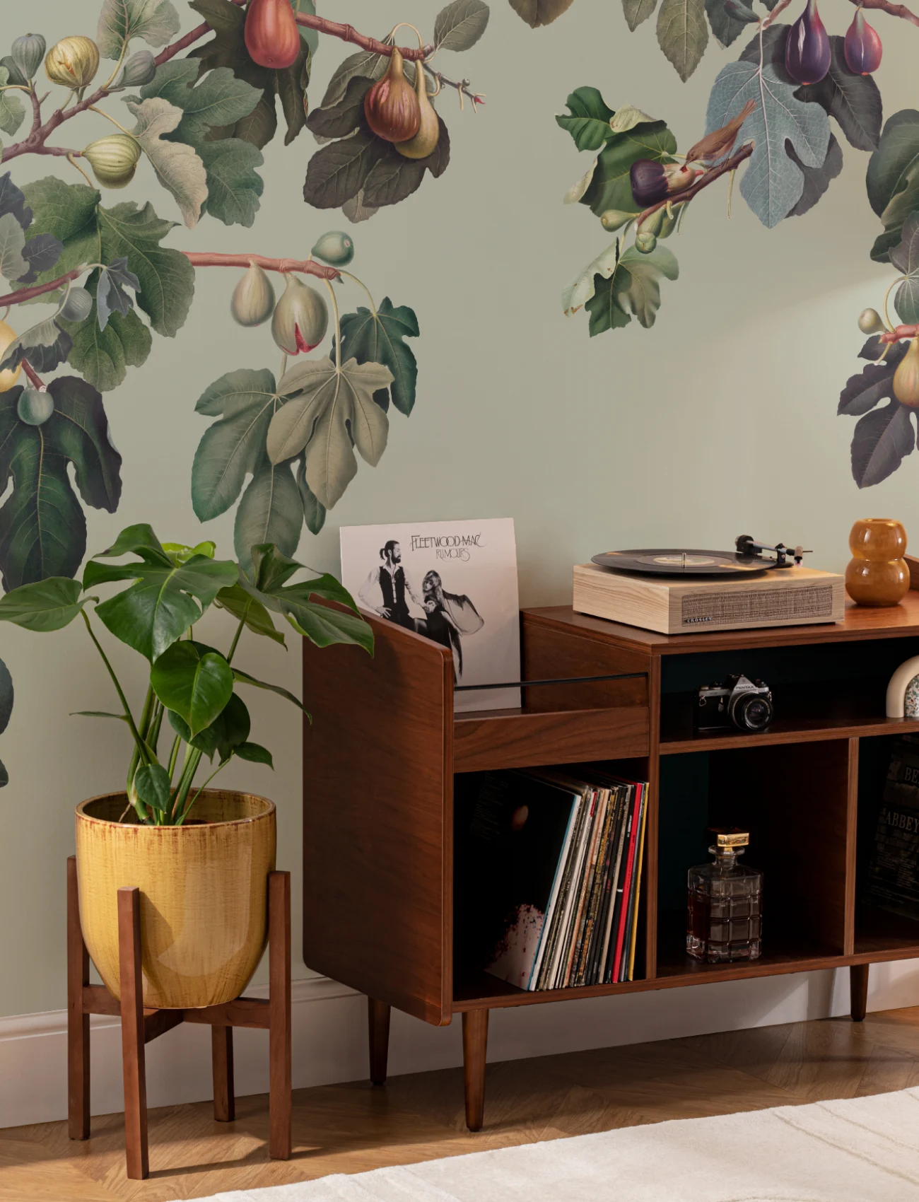 原木花梨茶桌面 Vintage Green Botanical Fig Tree Wall Mural - Hovia