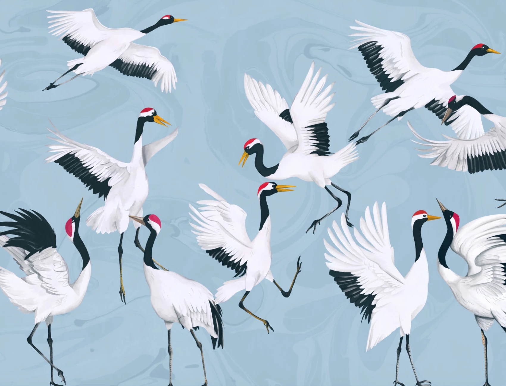 Flying japoneză Cranes albastru pictat Wallpaper Mural