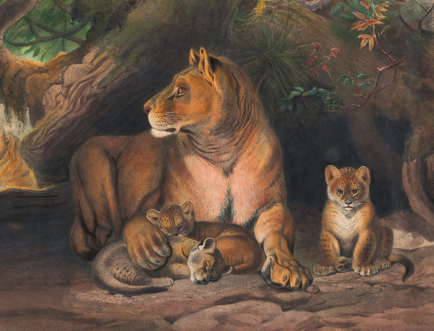Mural de parede Panthera pintado à mão com leões e filhotes por Joseph Wolf