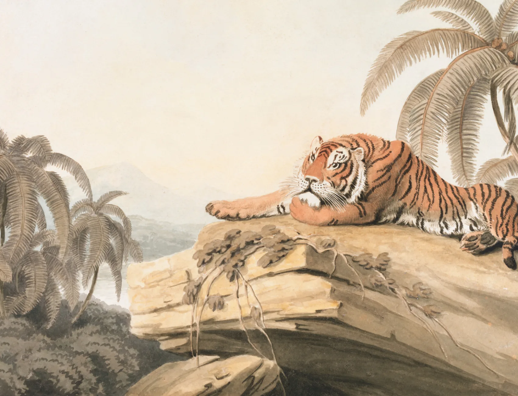 Murales de Papel Pintado ilustrado de tigre con paisaje tropical