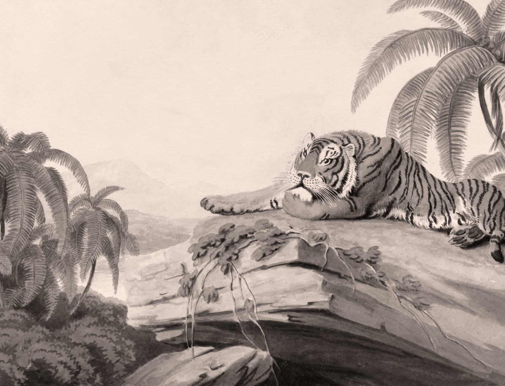 Gråt illustreret fototapet med tropisk landskab og tiger