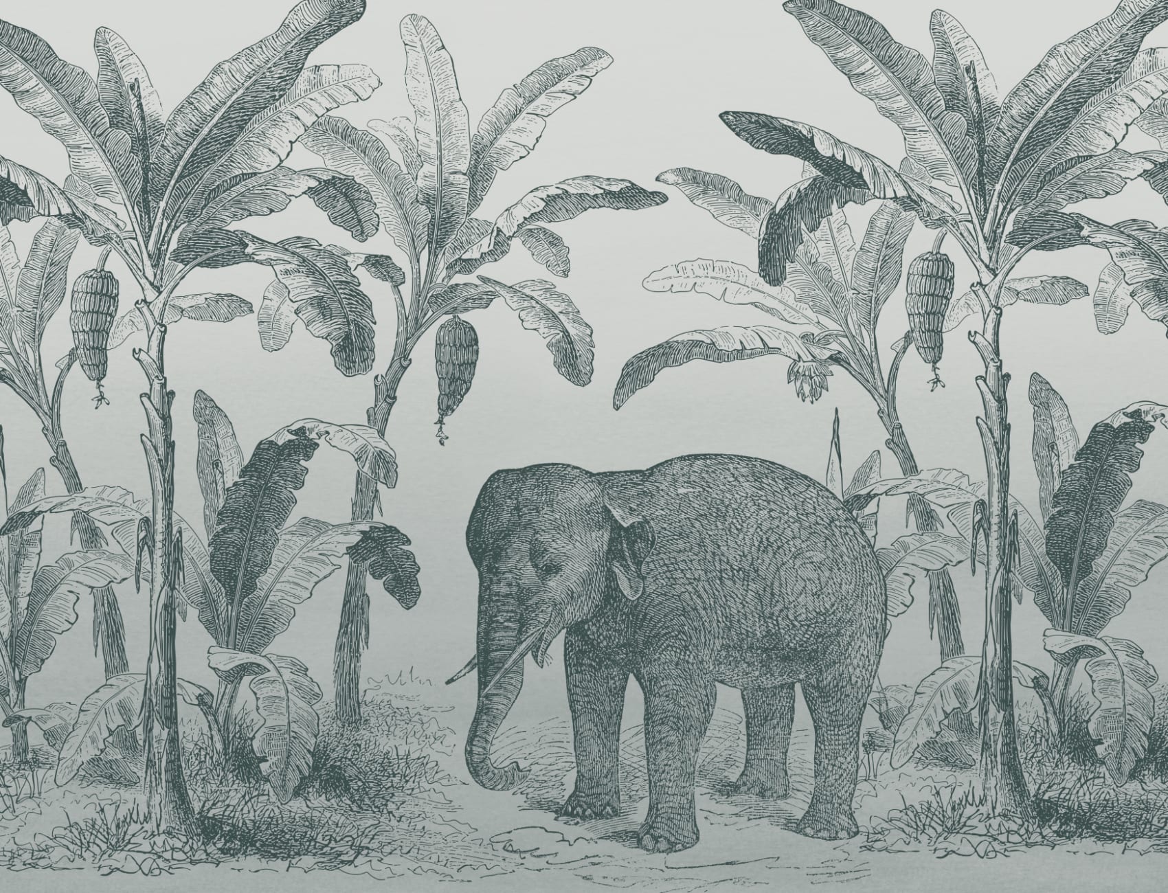 Teal Vintage Explorer Elephant Wallpaper Mural