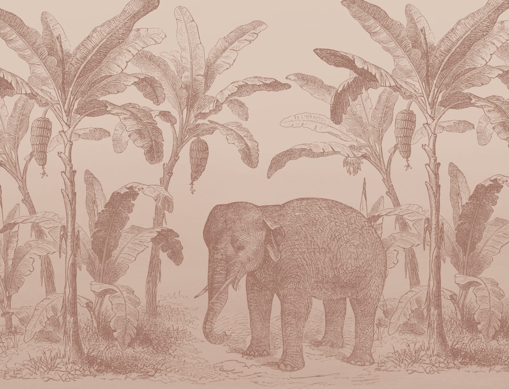Terracotta Vintage Explorer Elephant Wallpaper Mural