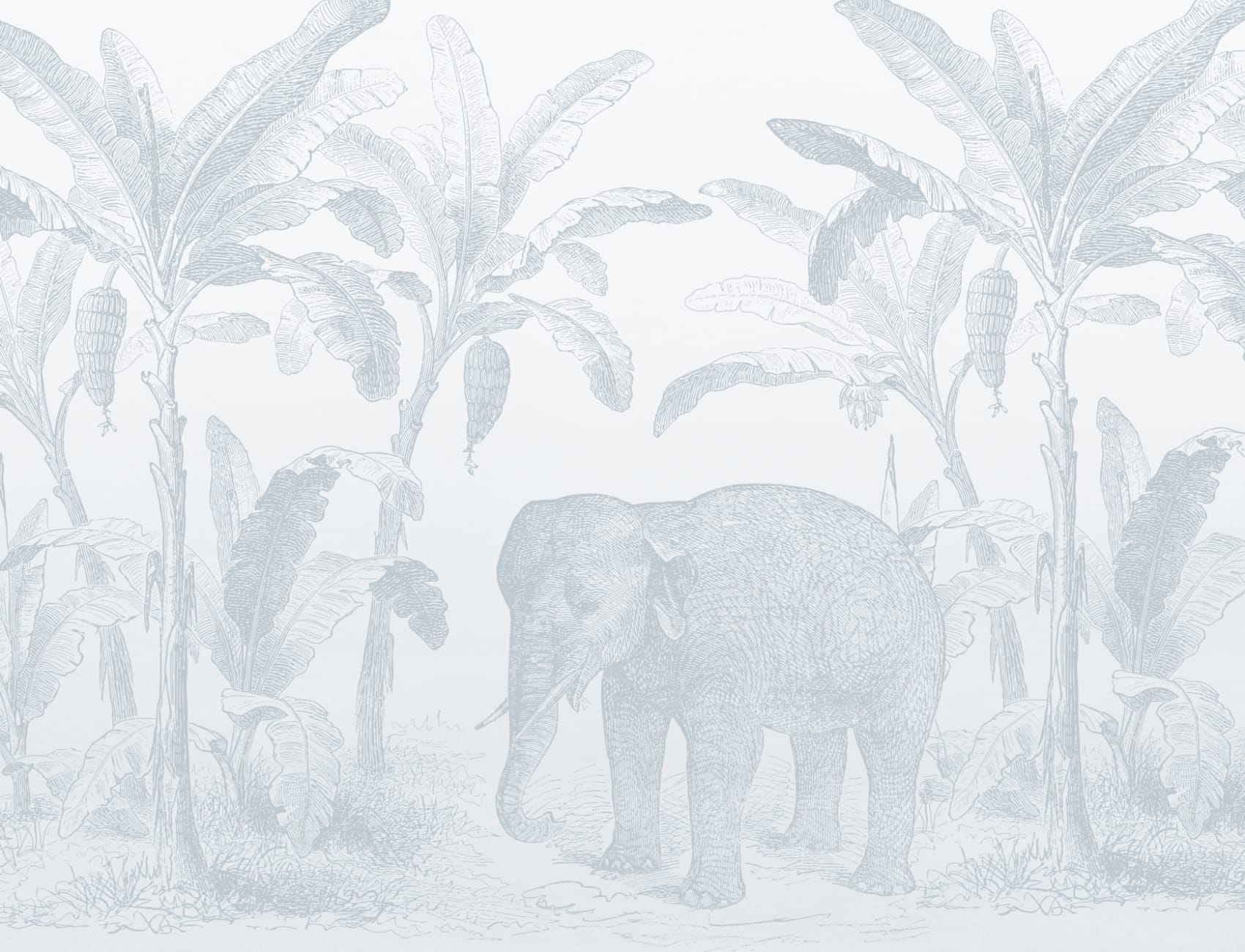 Blue Vintage Explorer Elephant Wallpaper Mural