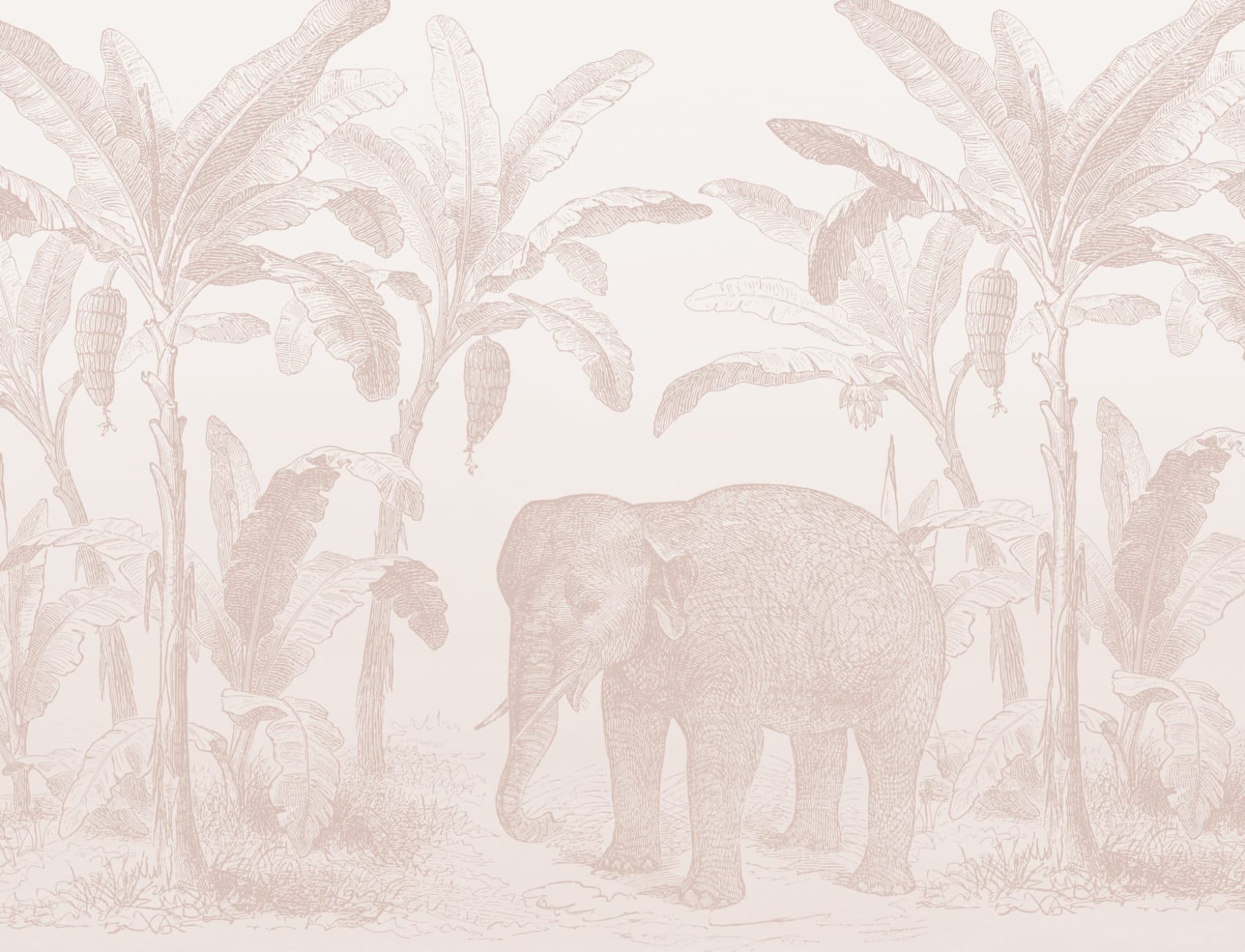 Pink Vintage Explorer Elephant Wallpaper Mural