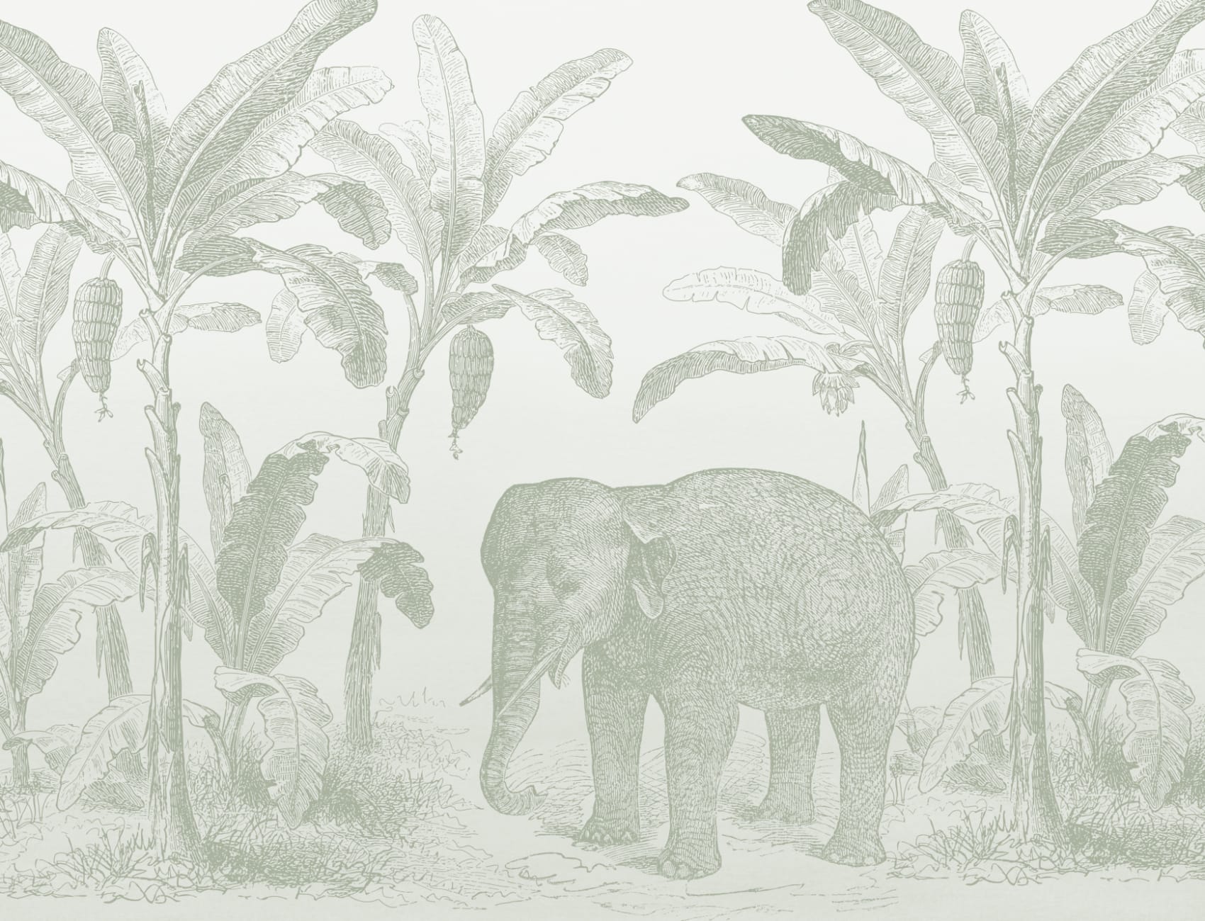 Carta da parati Elefante esploratore verde salvia