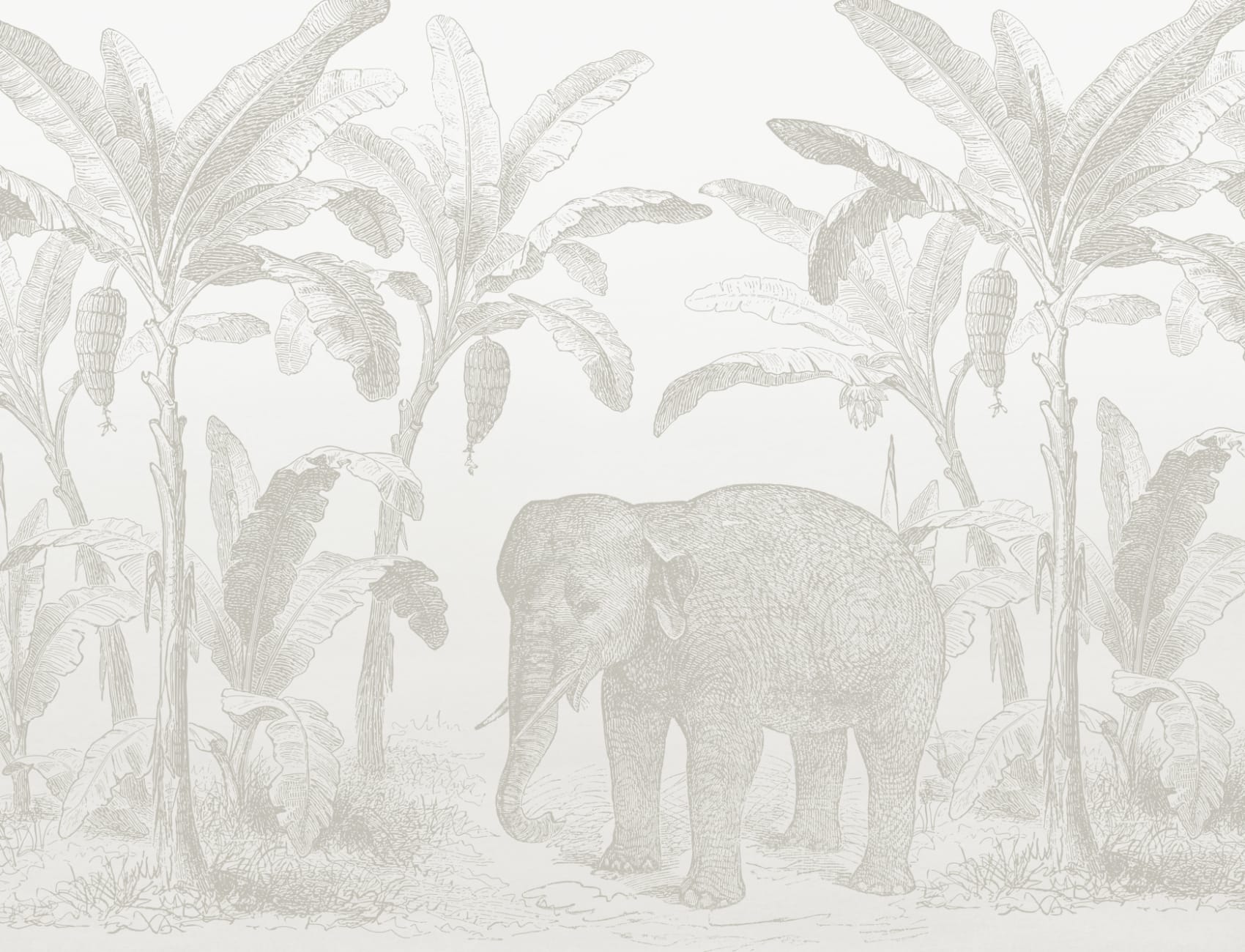 Carta da parati Vintage Explorer Elephant in beige
