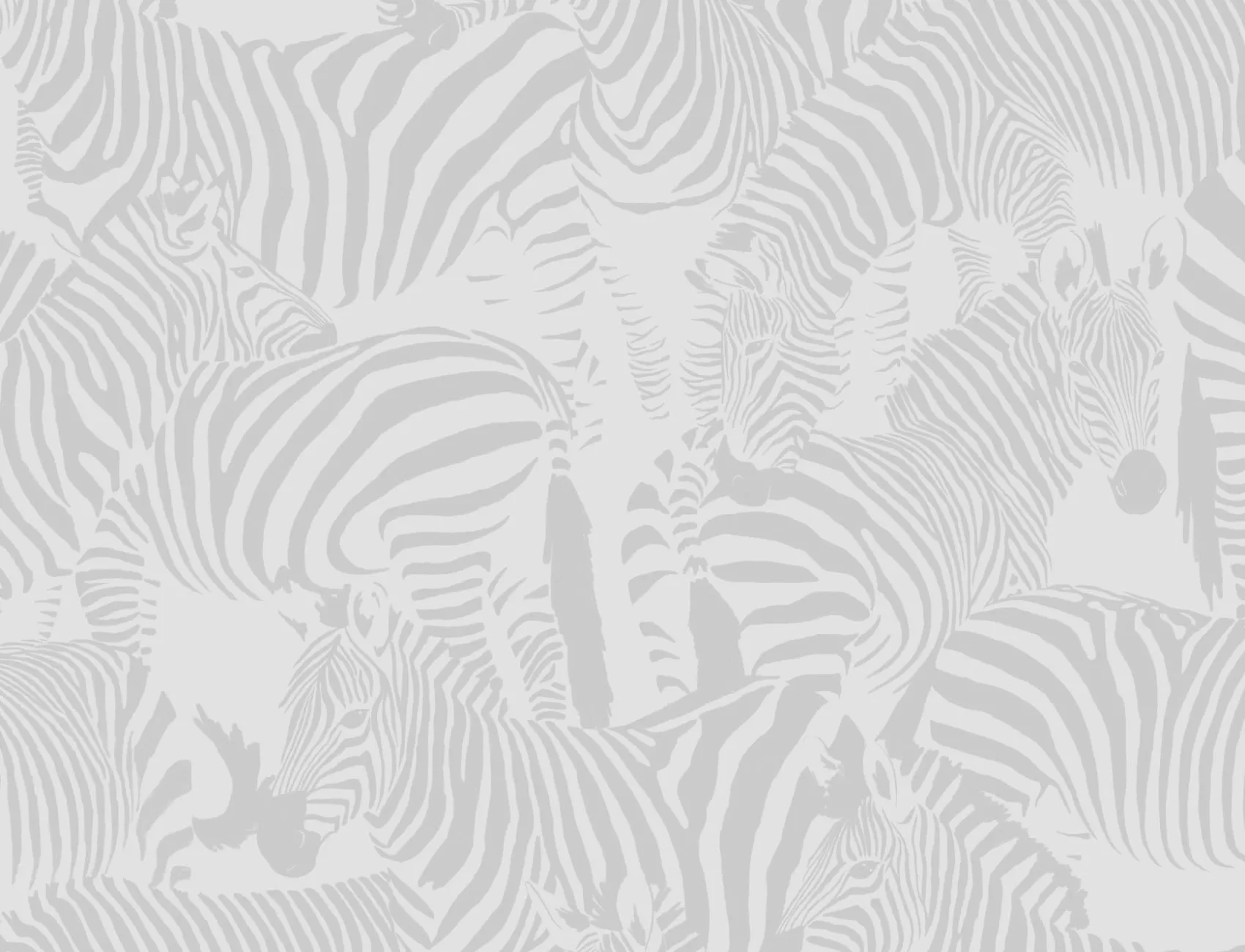 Gray Zebra Animal Modern Repeat Pattern Wallpaper