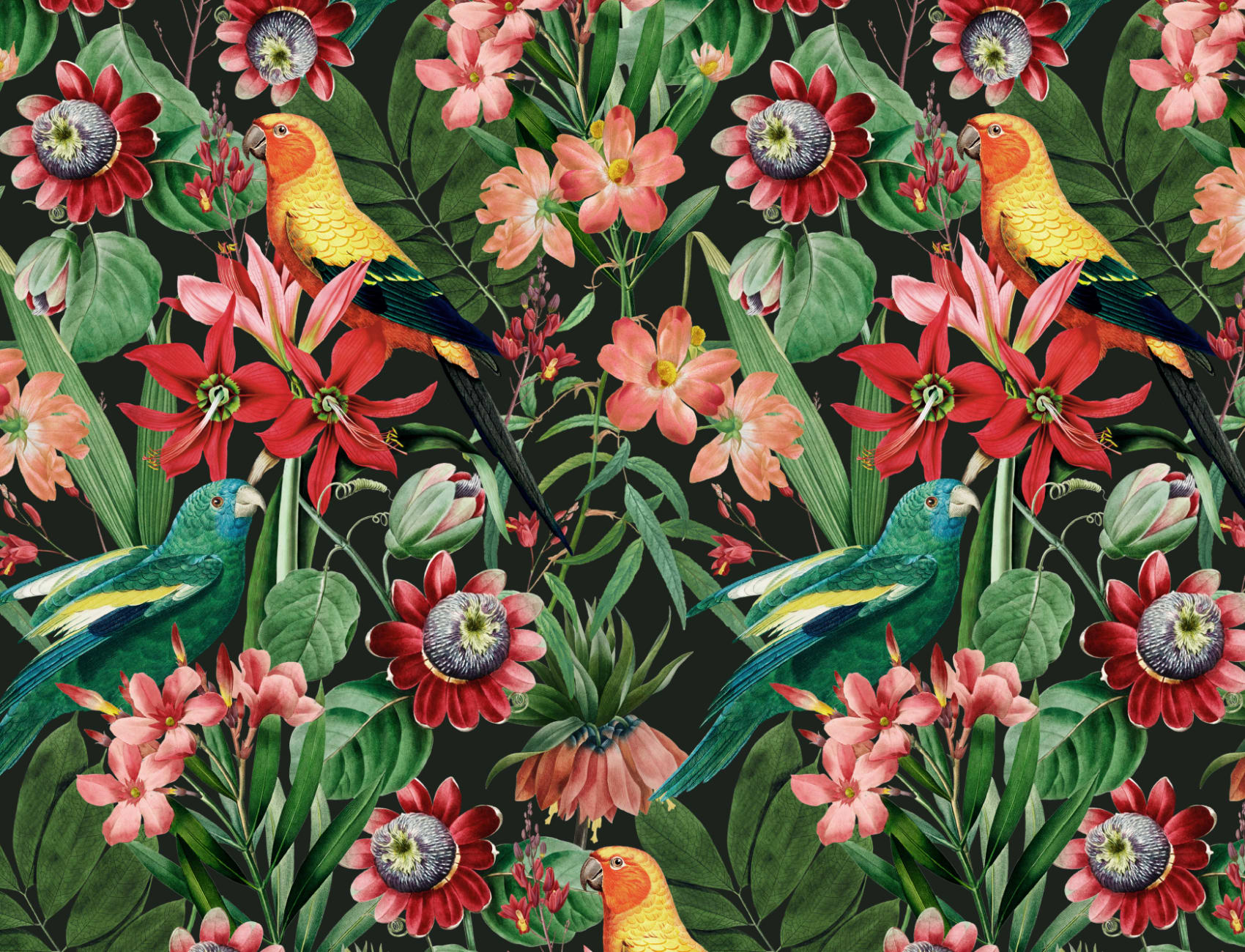Multicolor Tropical Leaves, Florals and Parrots Wallpaper