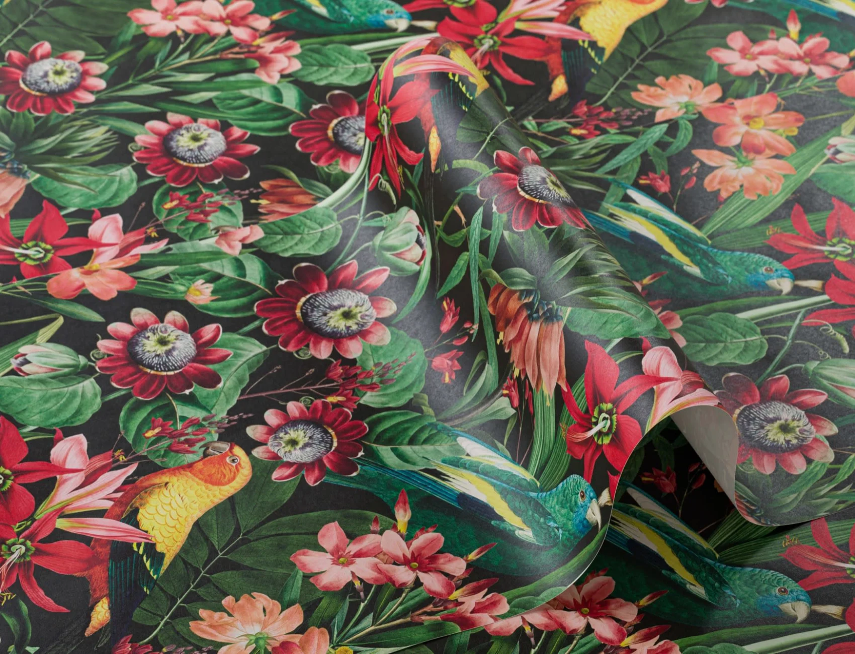 Multicolor Tropical Leaves, Florals and Parrots Wallpaper