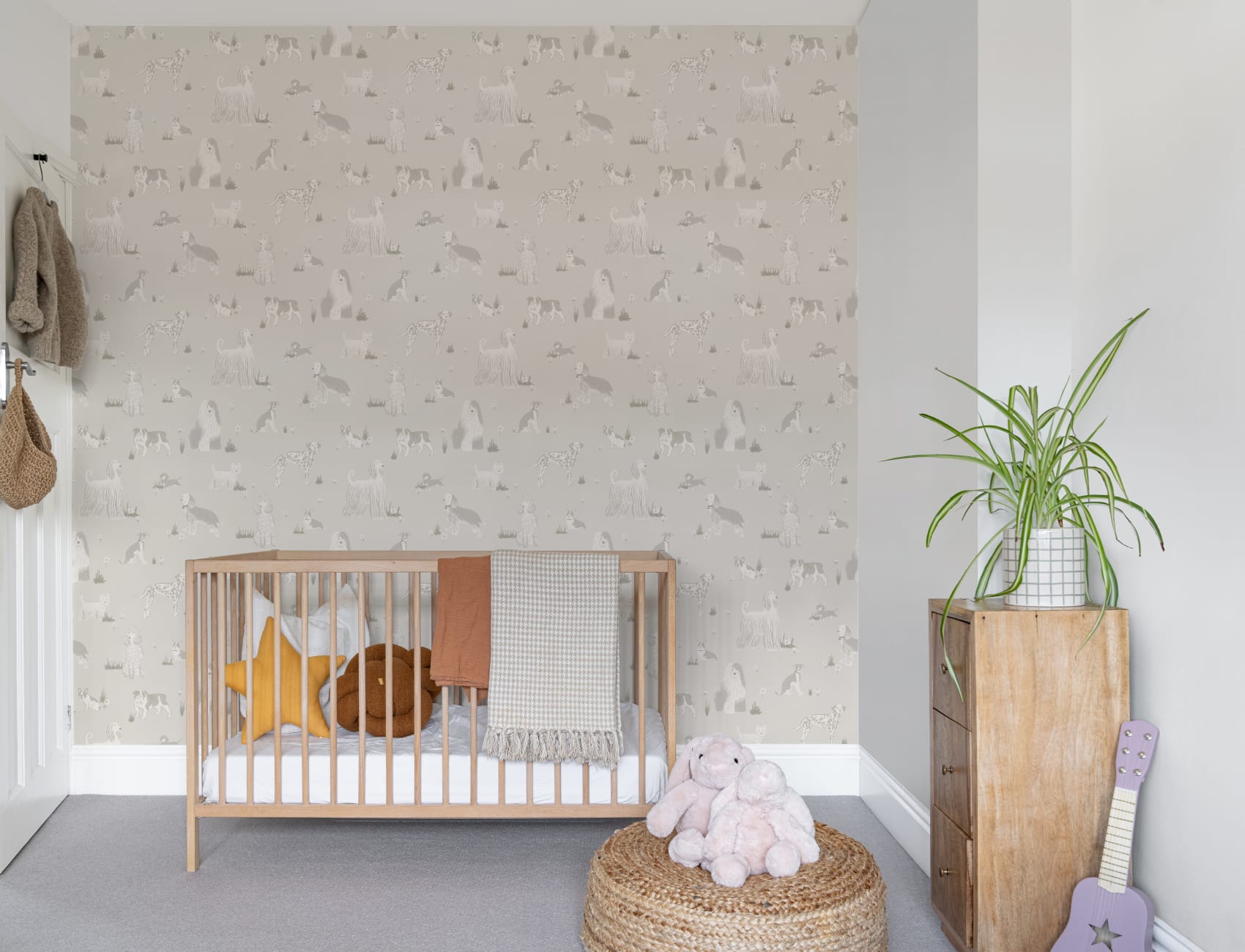 Grey Playful Dogs Animal Mural