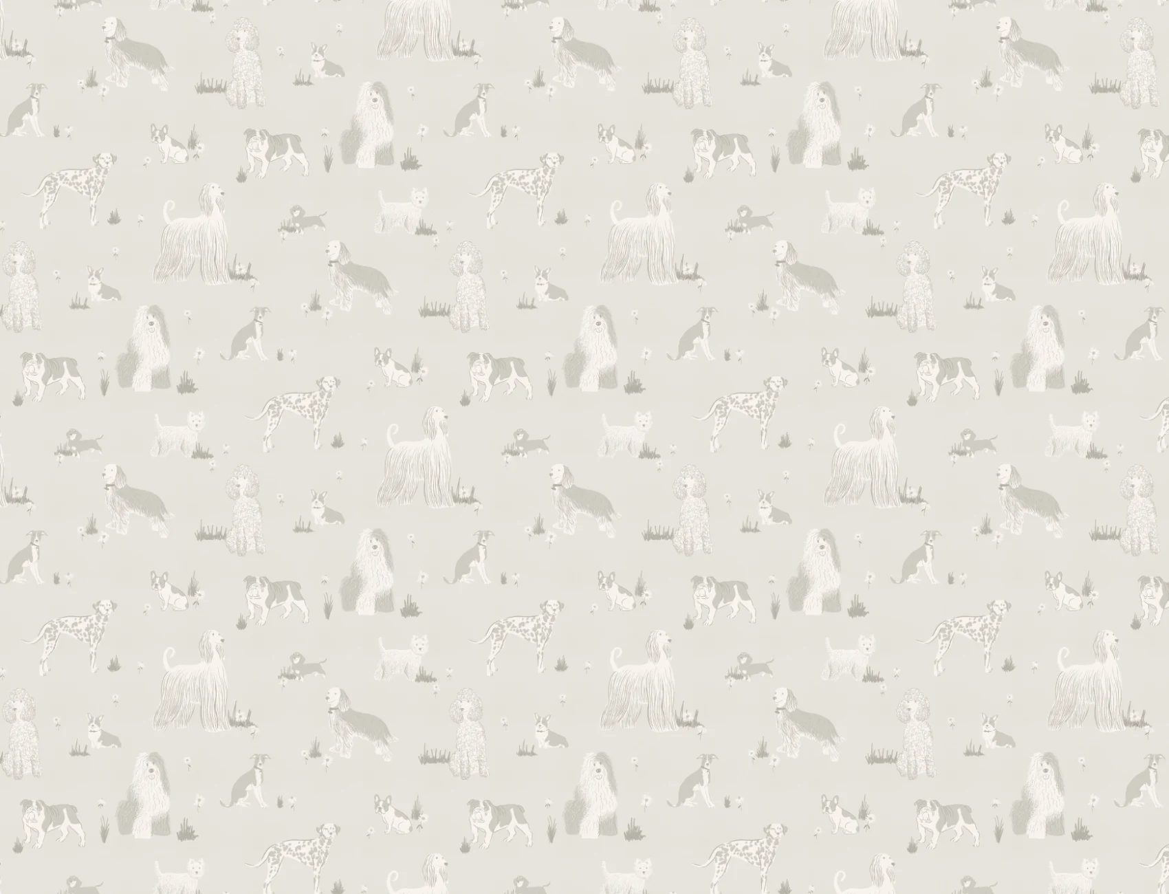 Grey Playful Dogs Animal Mural