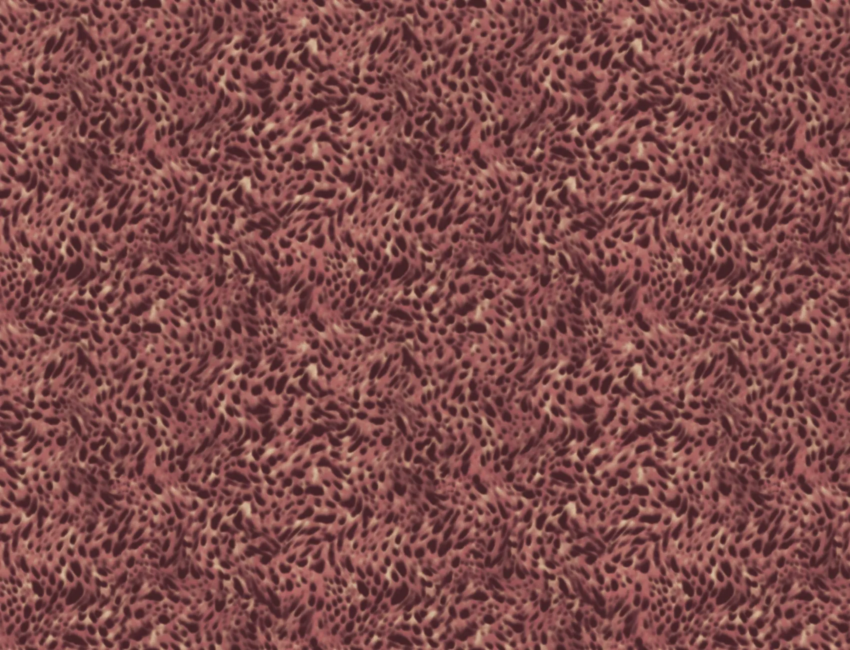 Pink Animal Print Pattern Contemporary Wall Mural
