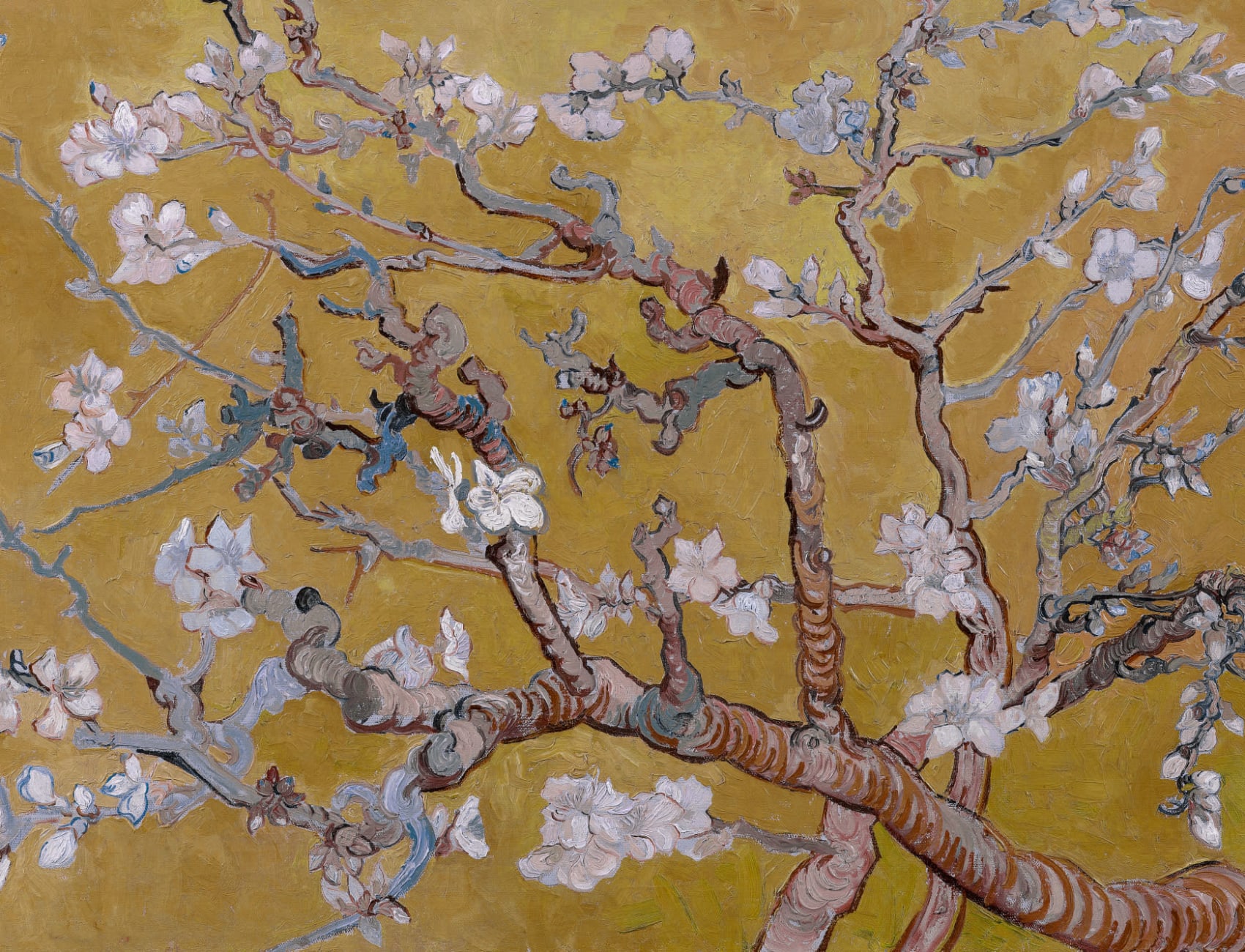 Customized Almond Blossom by Vincent Van Gogh Wallpaper Mural