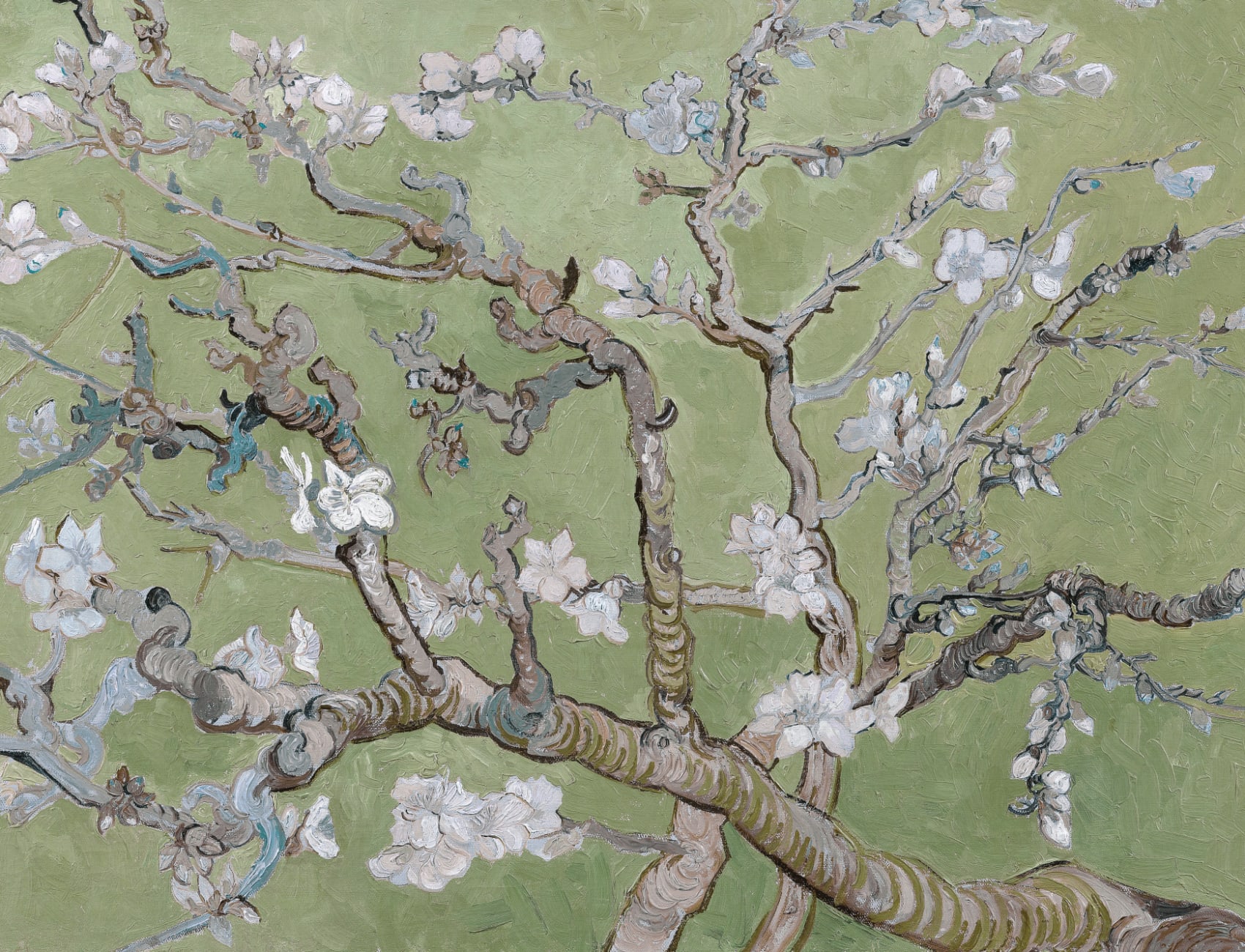 Green Almond Blossom by Vincent Van Gogh Mural