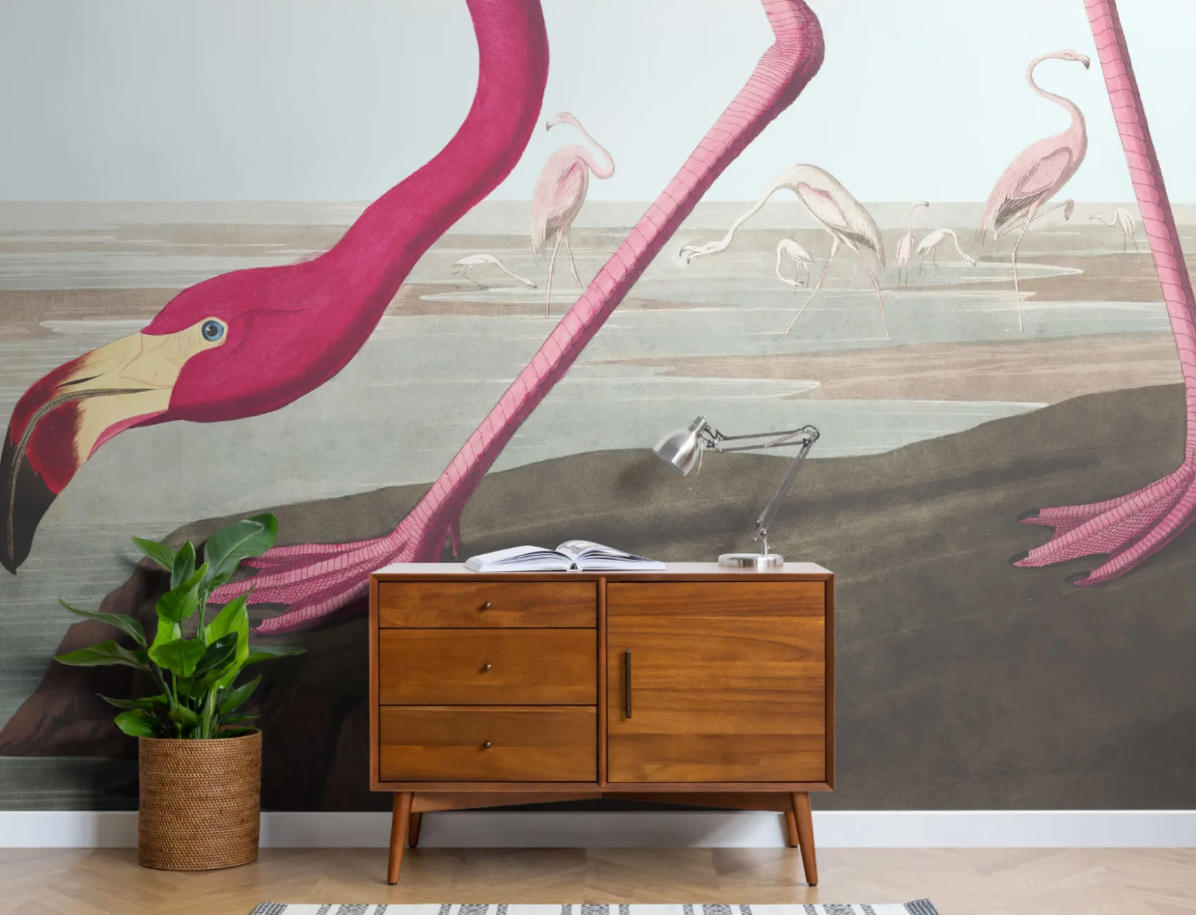 Pink Flamingo by J.J. Audubon Wallpaper Mural