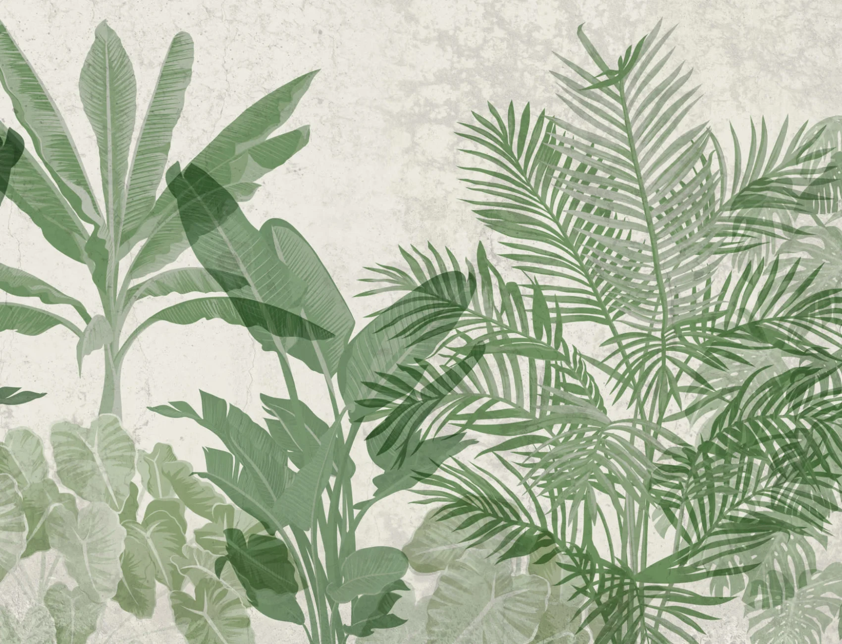 Biophilic Tropical Plants Fototapeta na ścianę