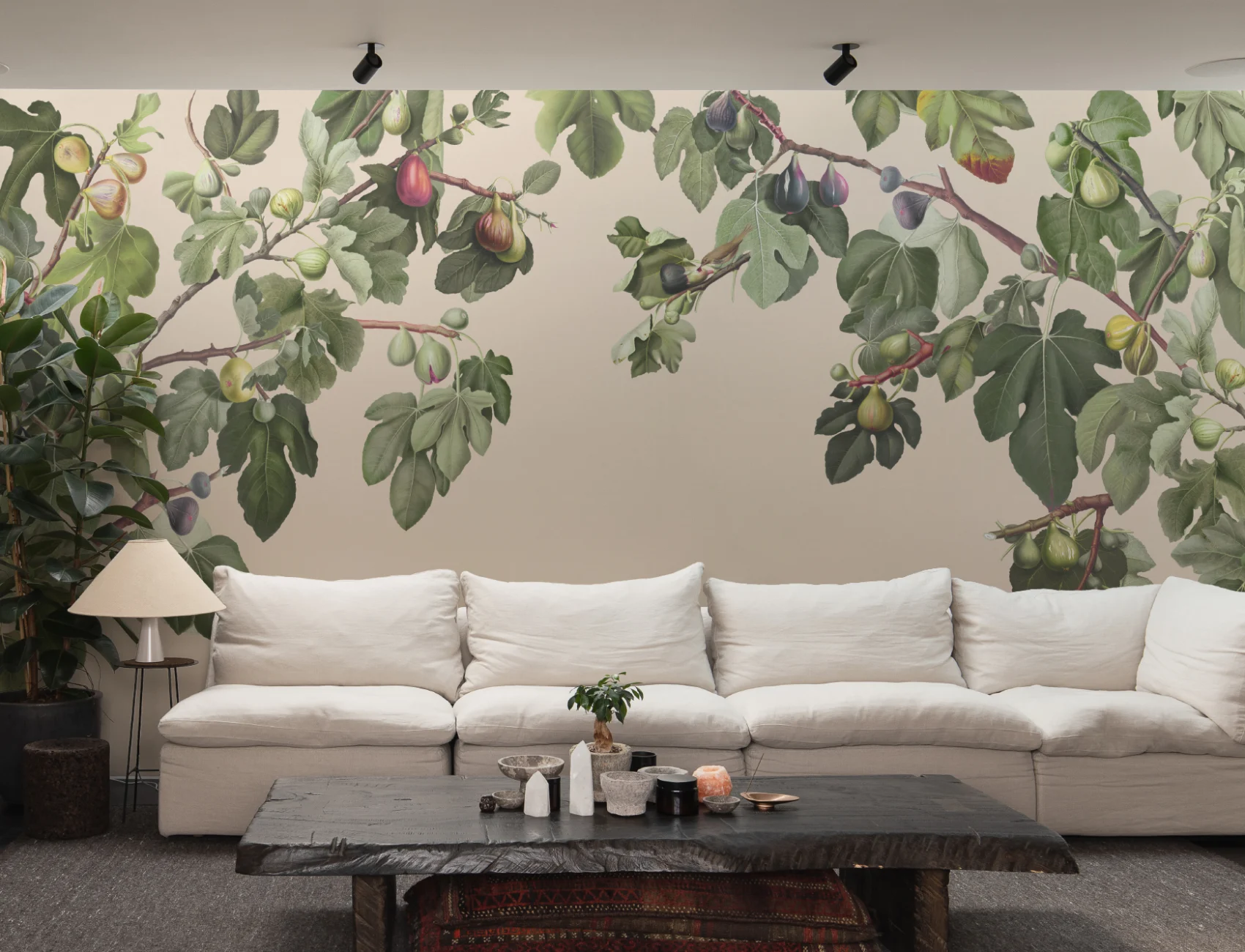 Vintage Fig Plant Botanical Illustration Wall Mural on Neutral Beige Background