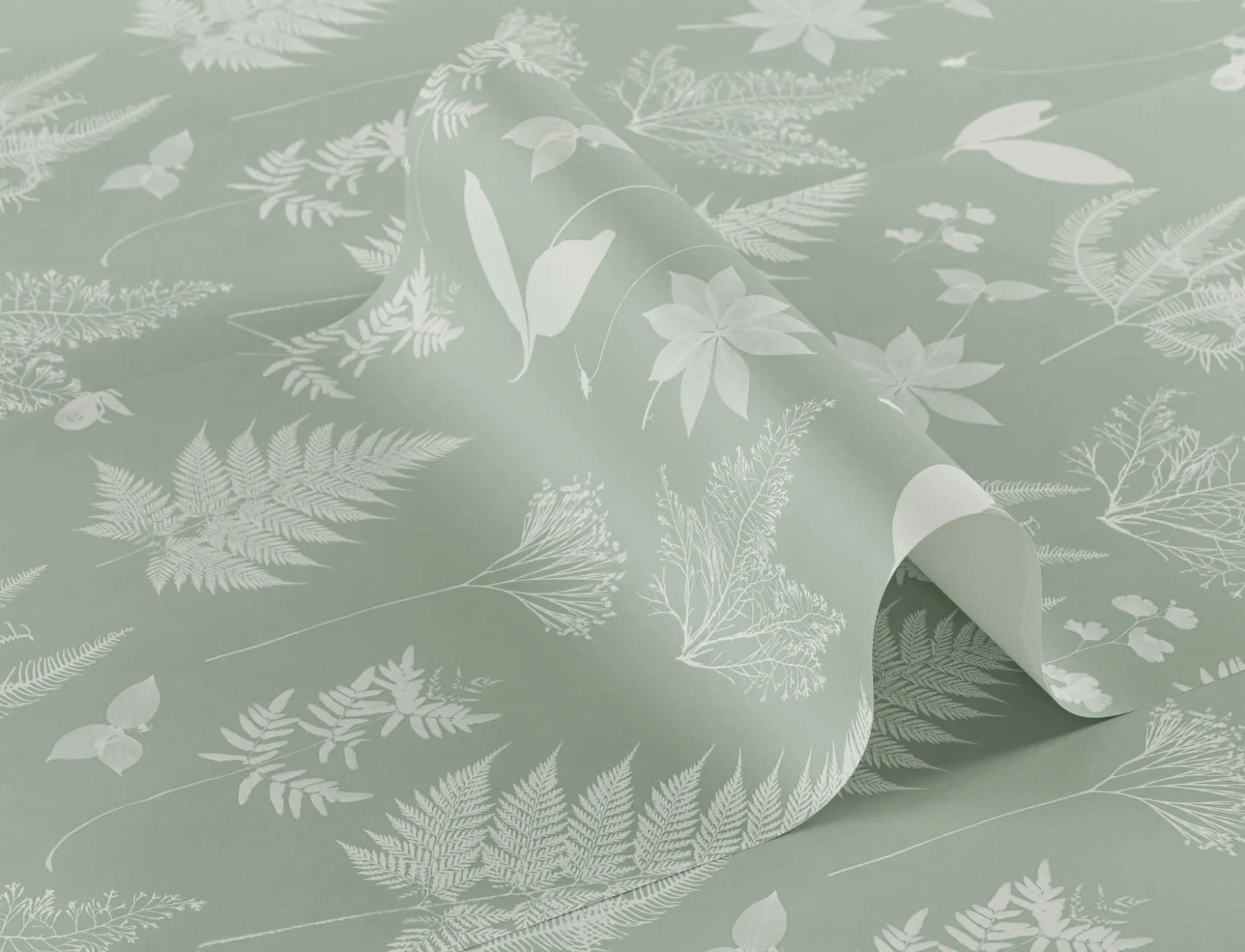 Green Botanical Plant Wallpaper