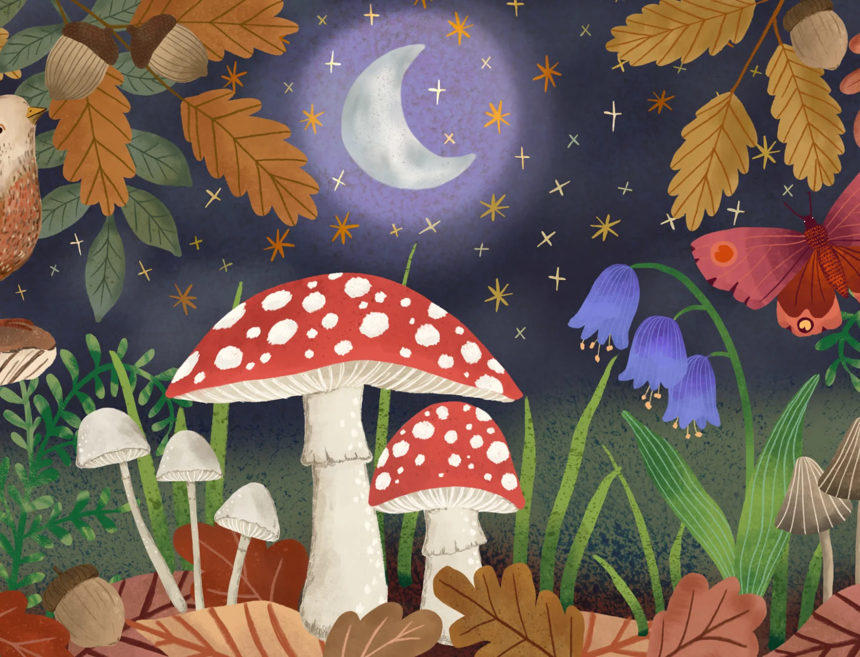 Panoramique champignon et nuit d’automne
