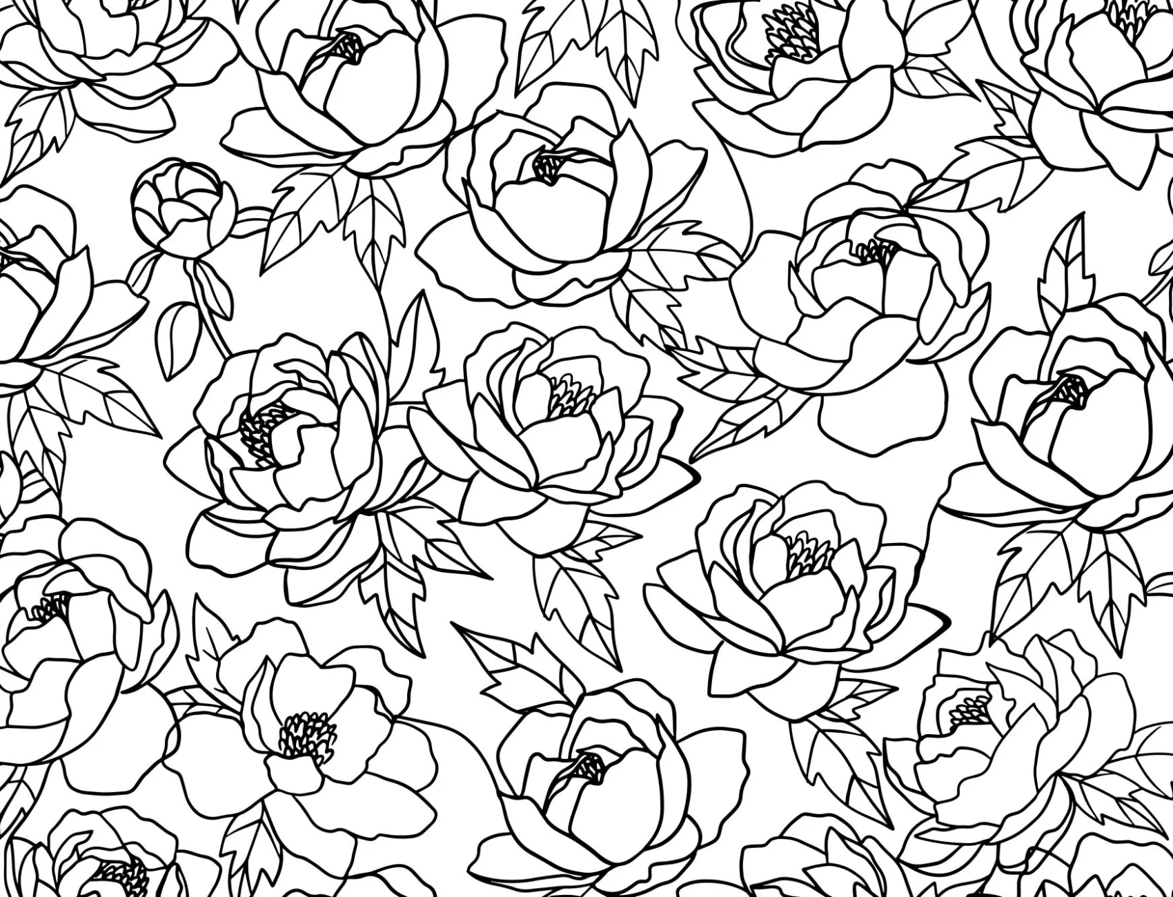 Linie alb-negru desen Floral model tapet Mural
