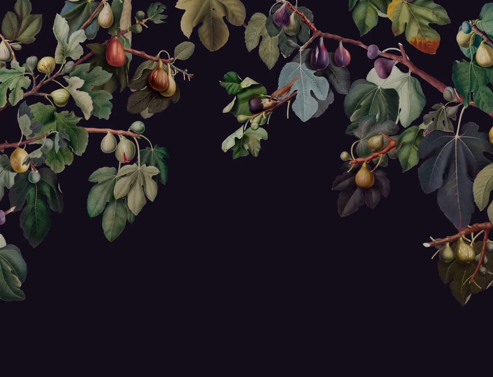 Vintage Dark Botanical Fig Tree Wallpaper Mural