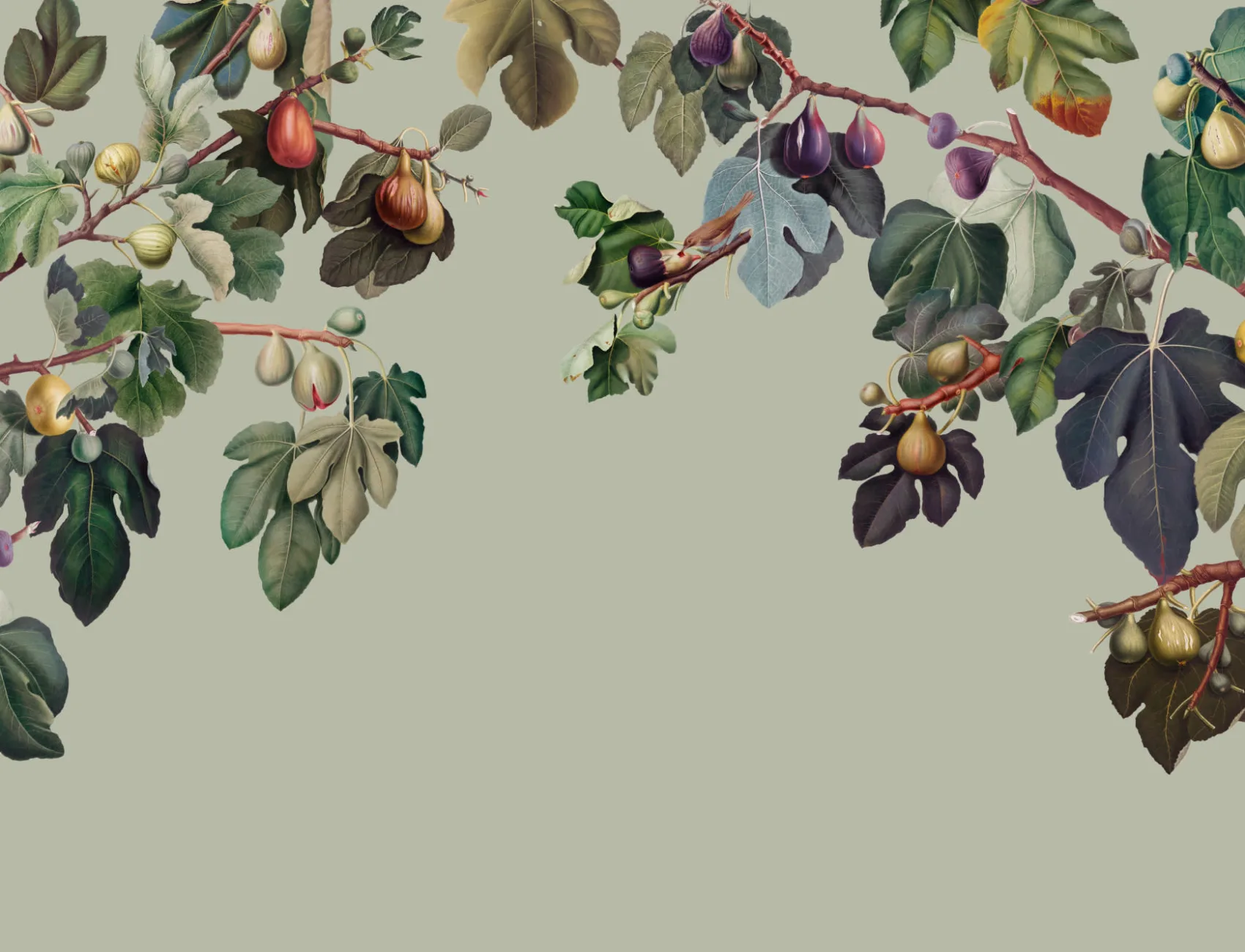 Vintage Green Botanical Fig Tree Wallpaper Mural