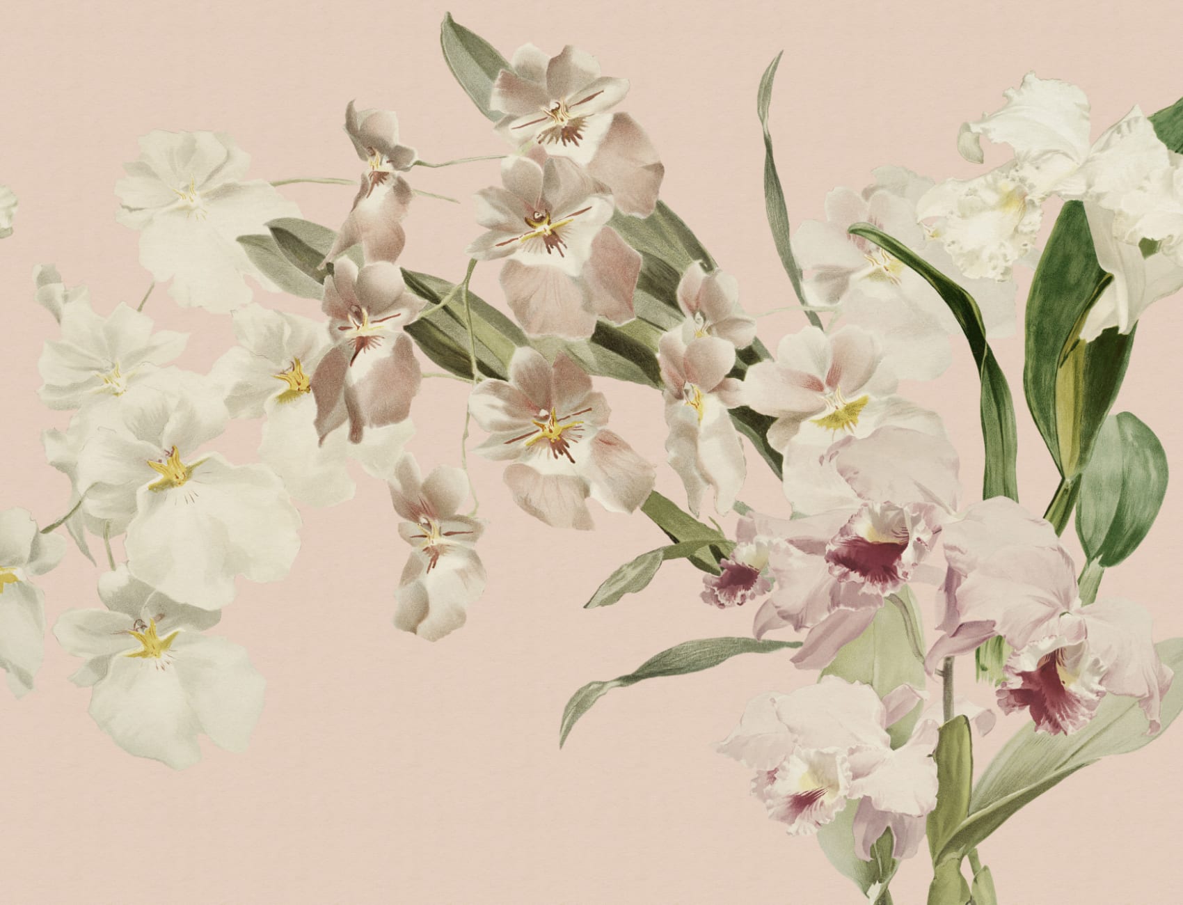 Soft Pastel Floral Velvet Bloom Mural For Elegant Spaces