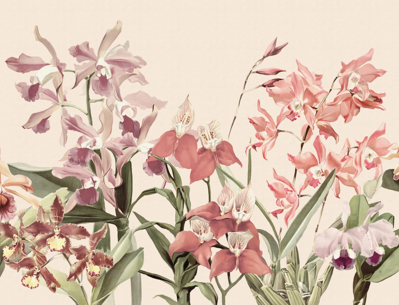 Orchideen-Oase