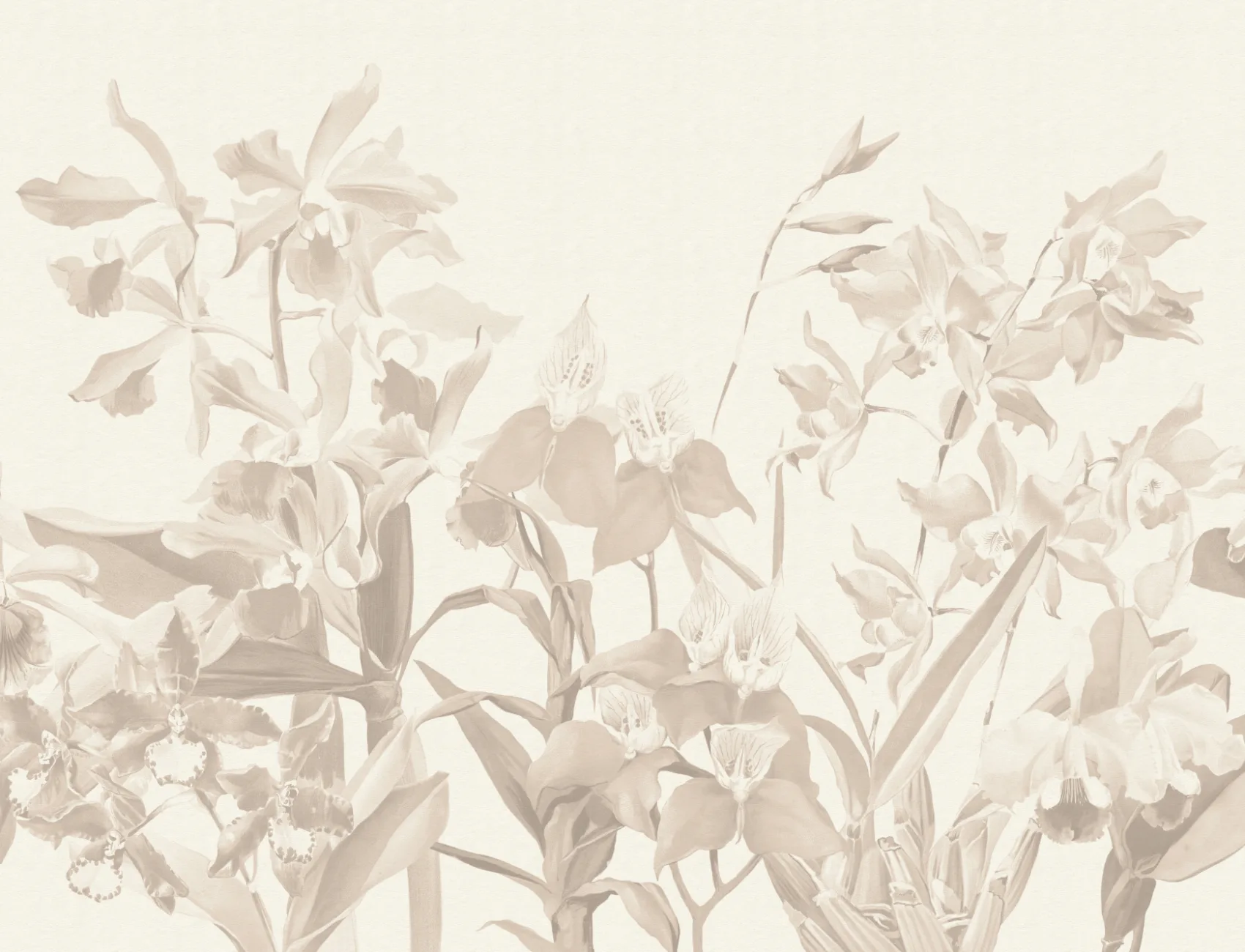 Beige Orchid Garden Elegant Floral Atmosphere Mural