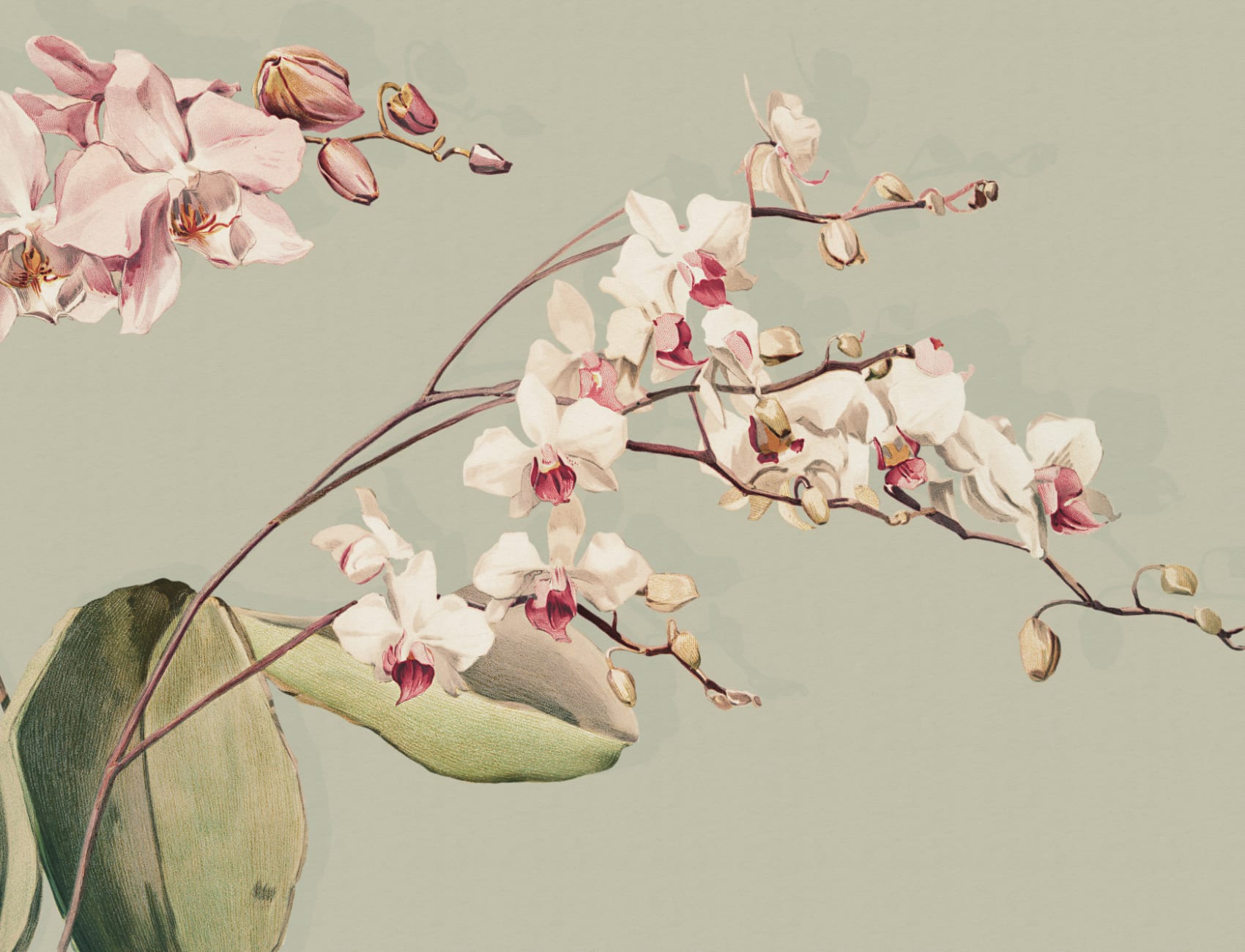 Green Botanical Elegance Floral Mural for Tranquil Spaces