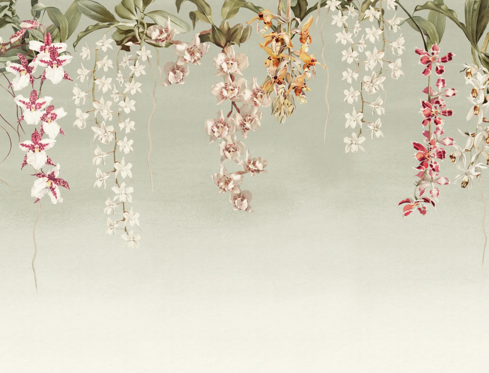 Green Orchid Botanical Floral Multicolor Wall Mural