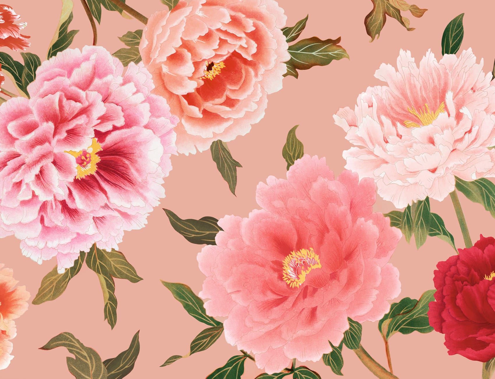 Mare roz Peony Wallpaper Mural